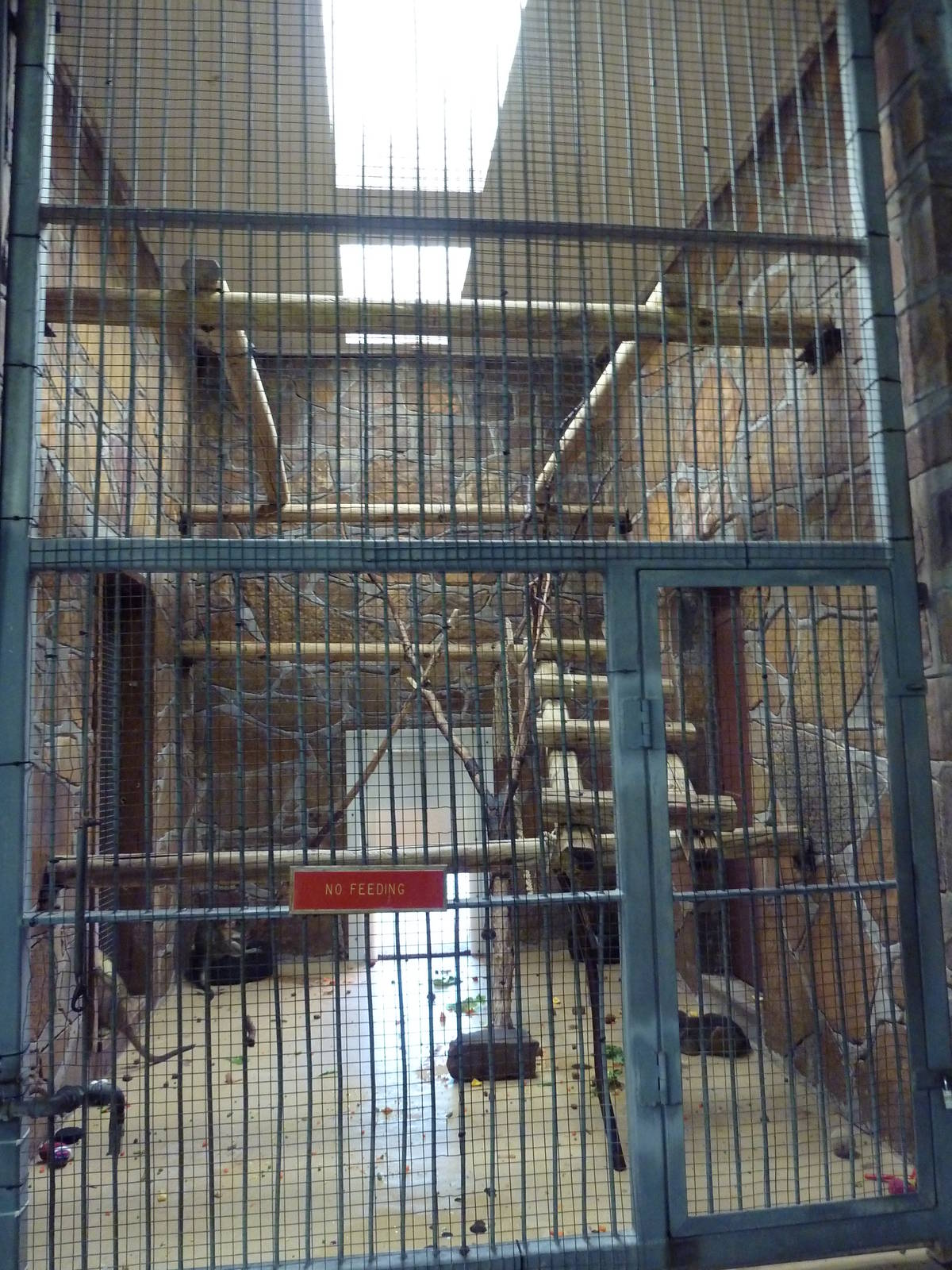 1936 Primates, Reptiles + Birds Building - Primate Exhibit