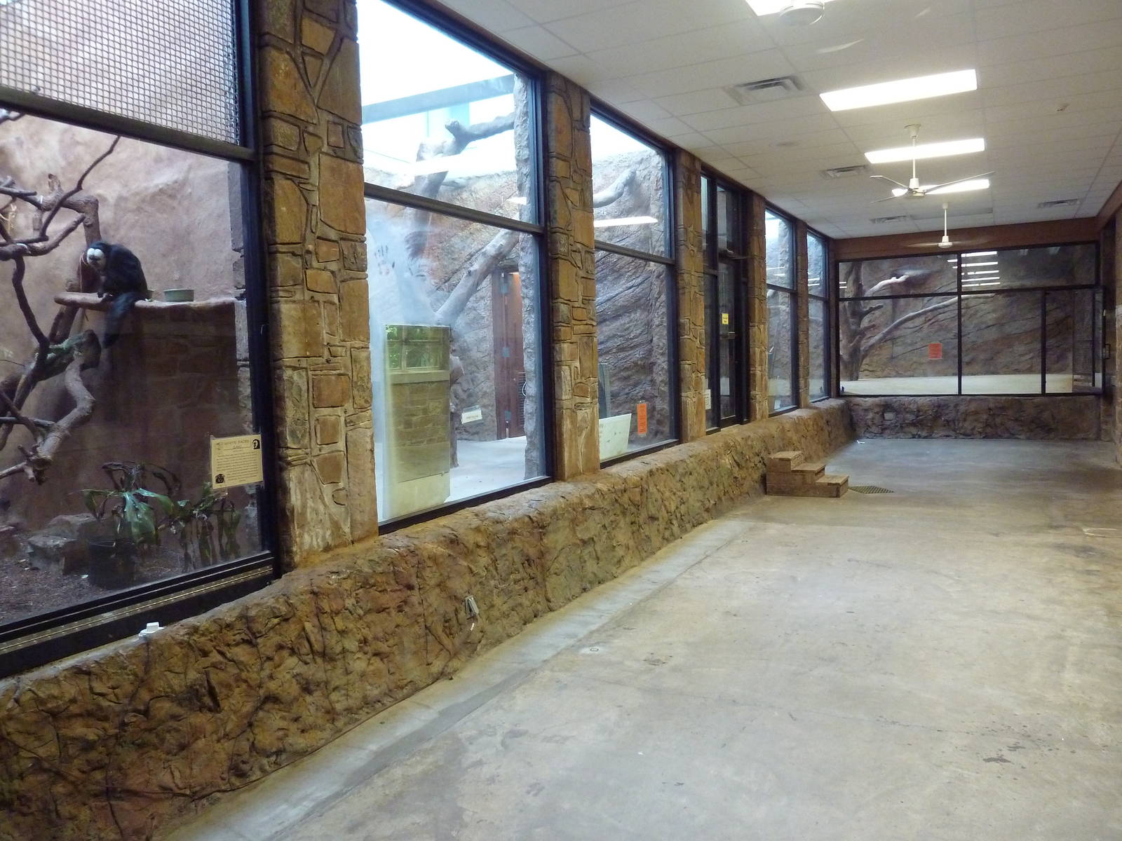 1936 Primates, Reptiles + Birds Building - Primate Exhibits