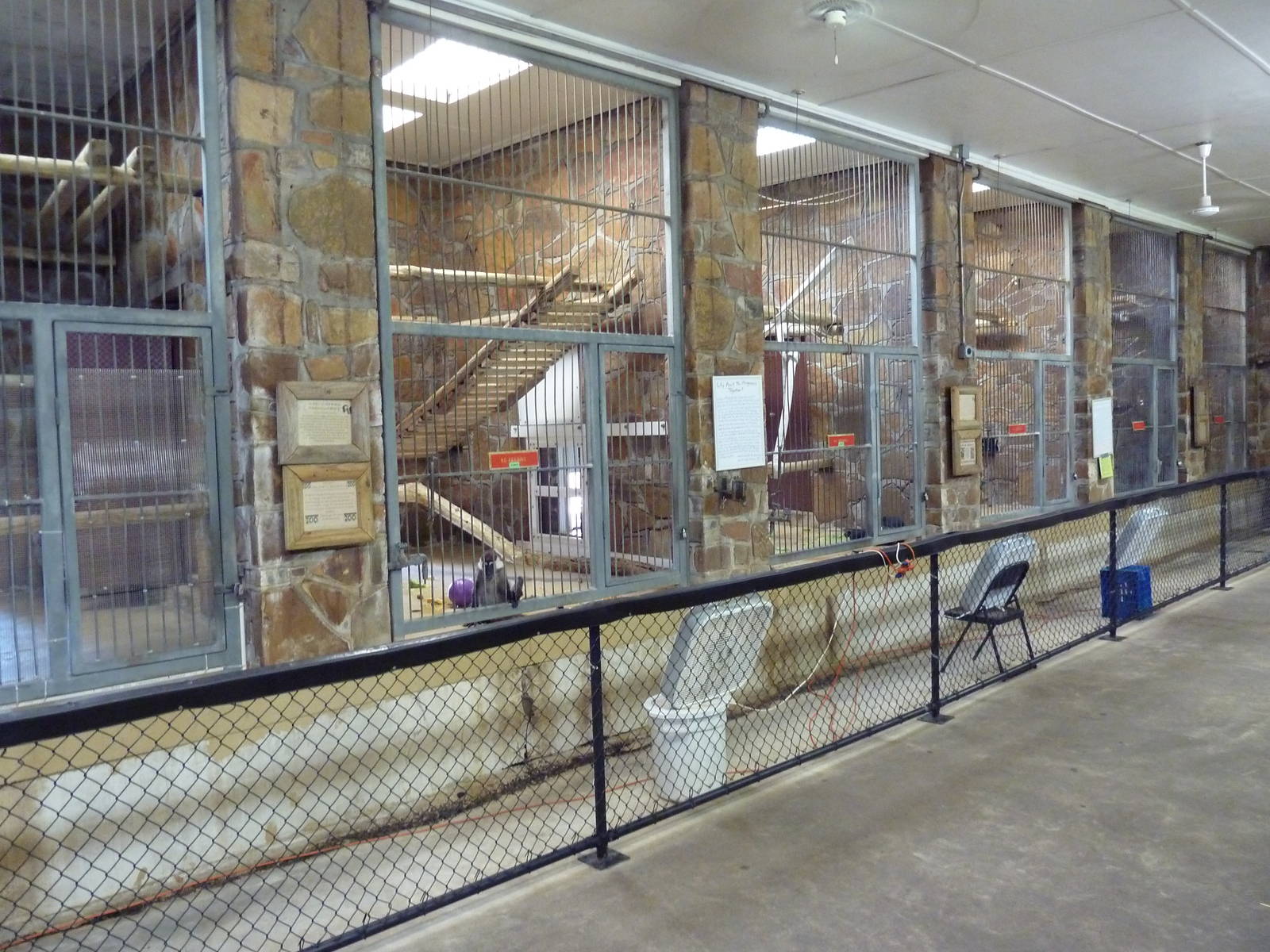 1936 Primates, Reptiles + Birds Building - Primate Exhibits