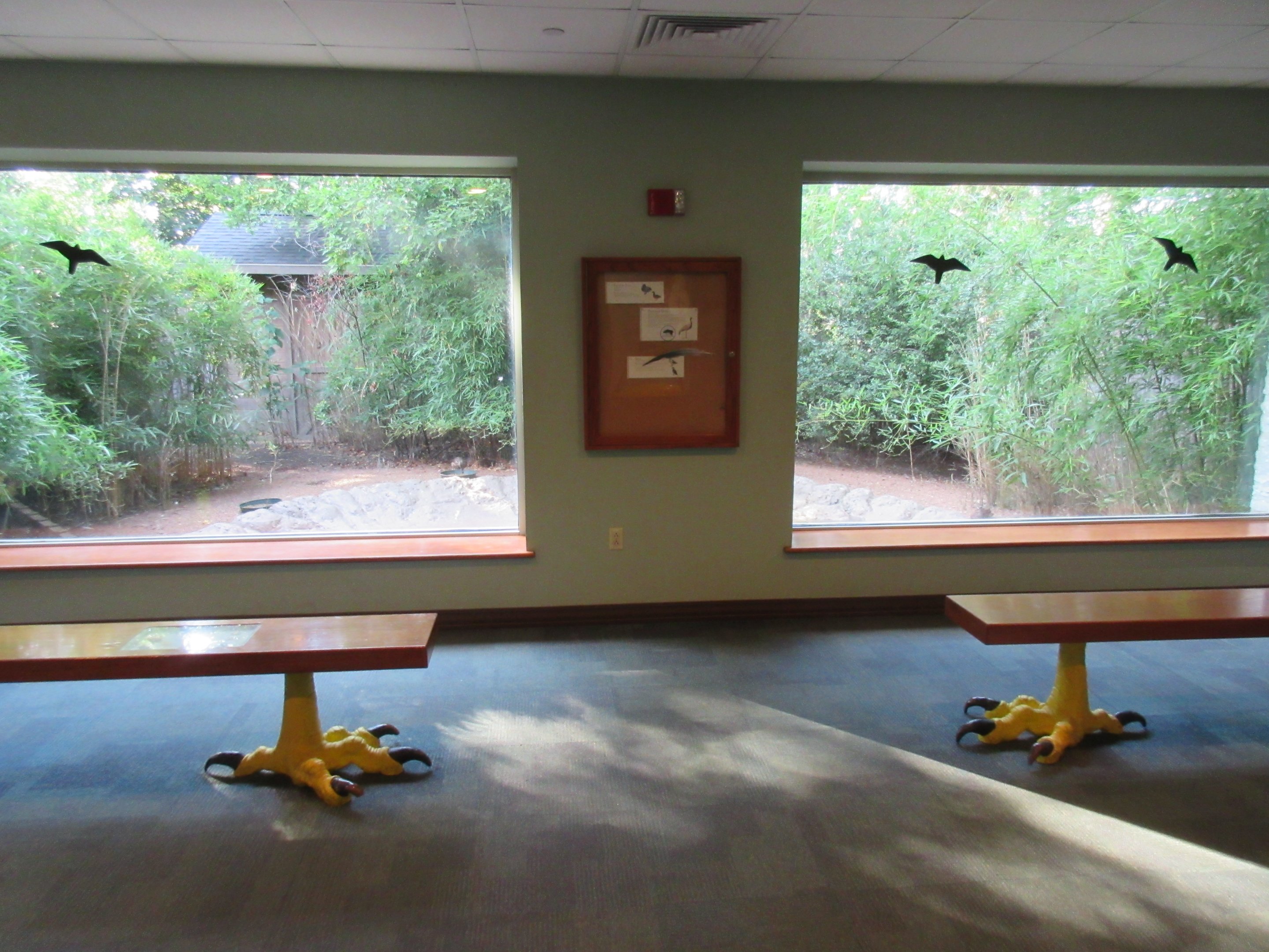 1937 Aviary - Demoiselle Crane Exhibit