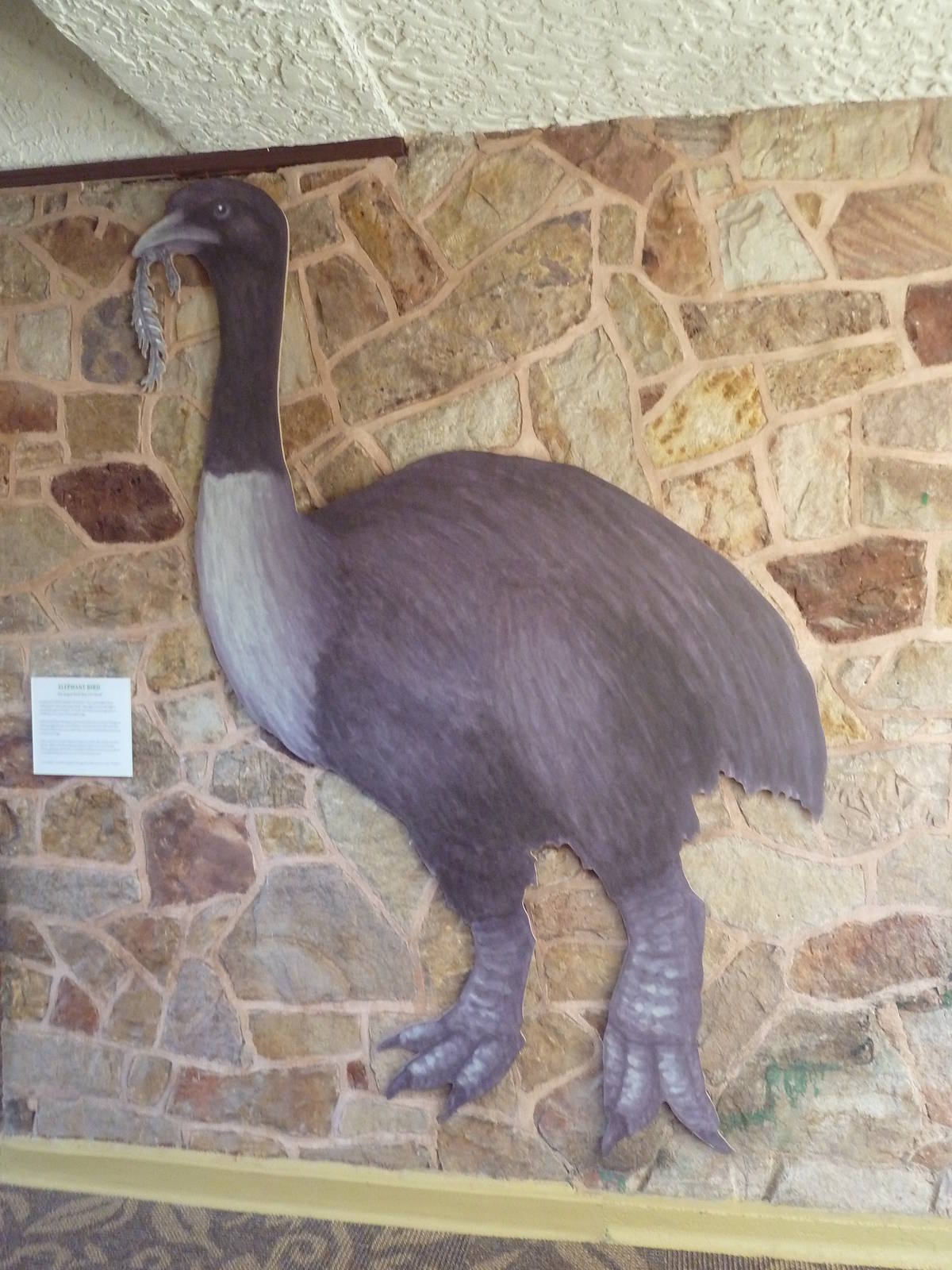 1939 Islands of Life Building - Elephant Bird