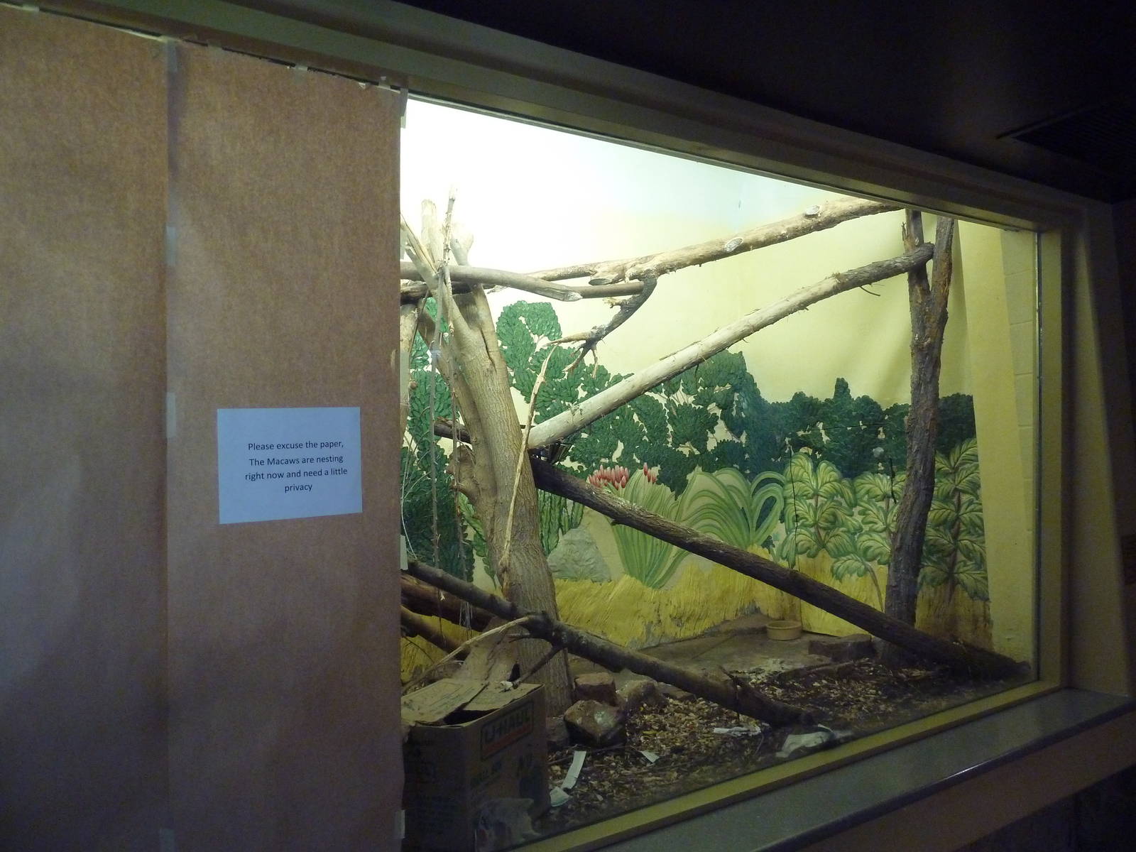 1939 Islands of Life Building - Hyacinth Macaw Exhibit