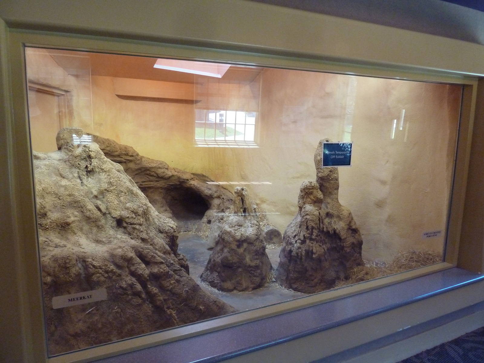 1939 Islands of Life Building - Meerkat Exhibit
