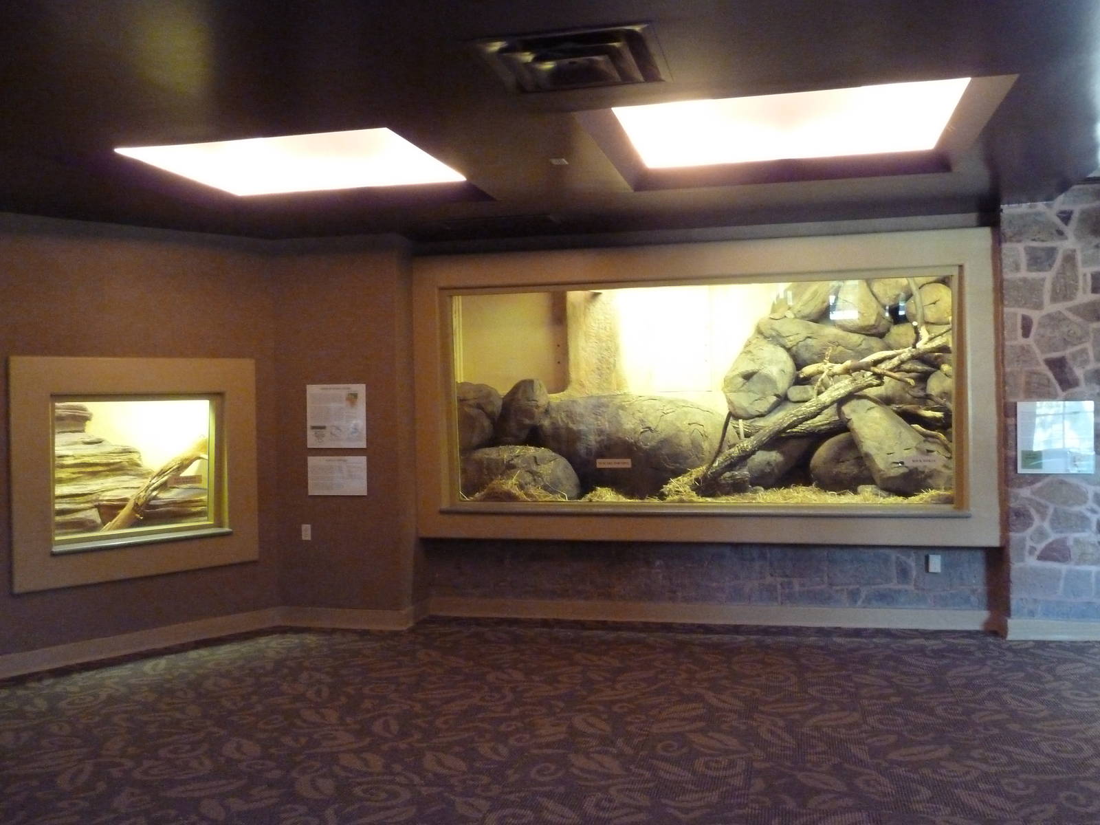 1939 Islands of Life Building - Rock Hyrax + Chuckwalla Exhibits