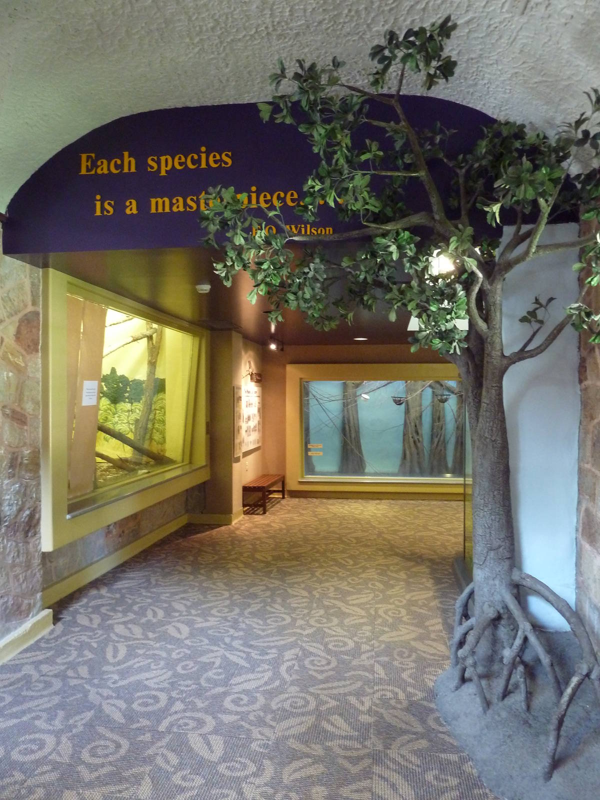 1939 Islands of Life Building - Side Hallway