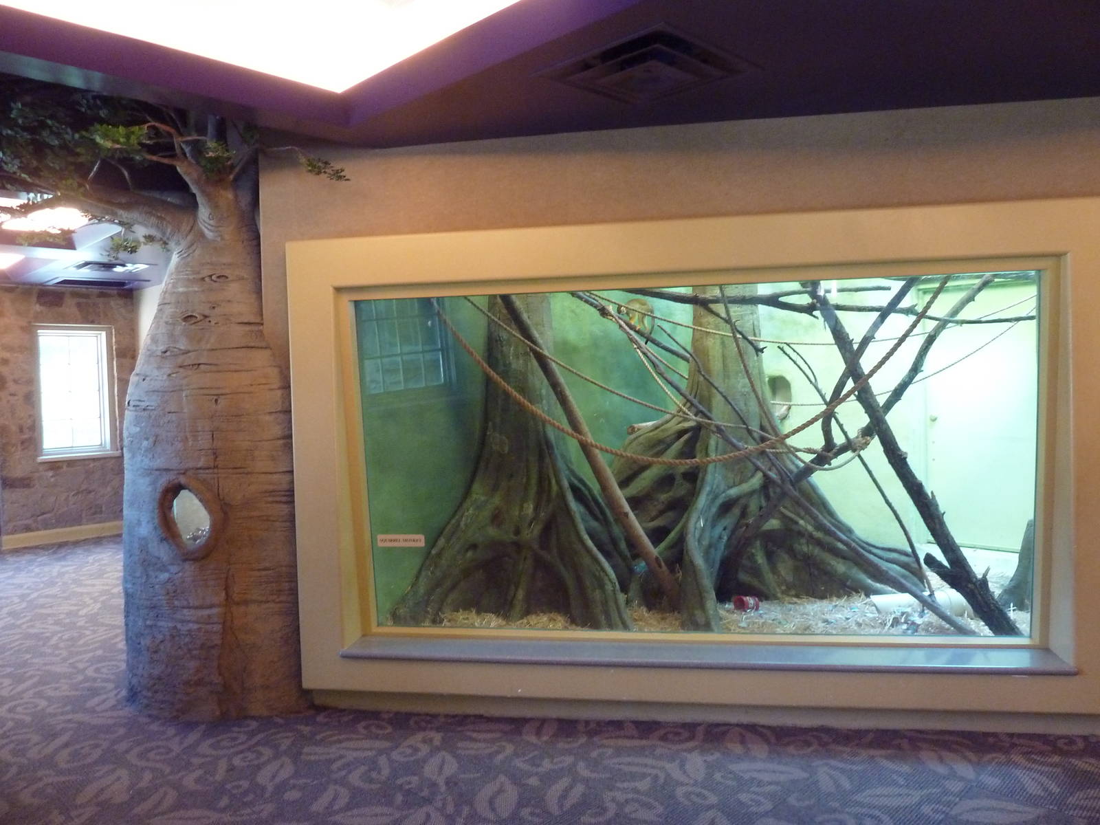 1939 Islands of Life Building - Squirrel Monkey Exhibit