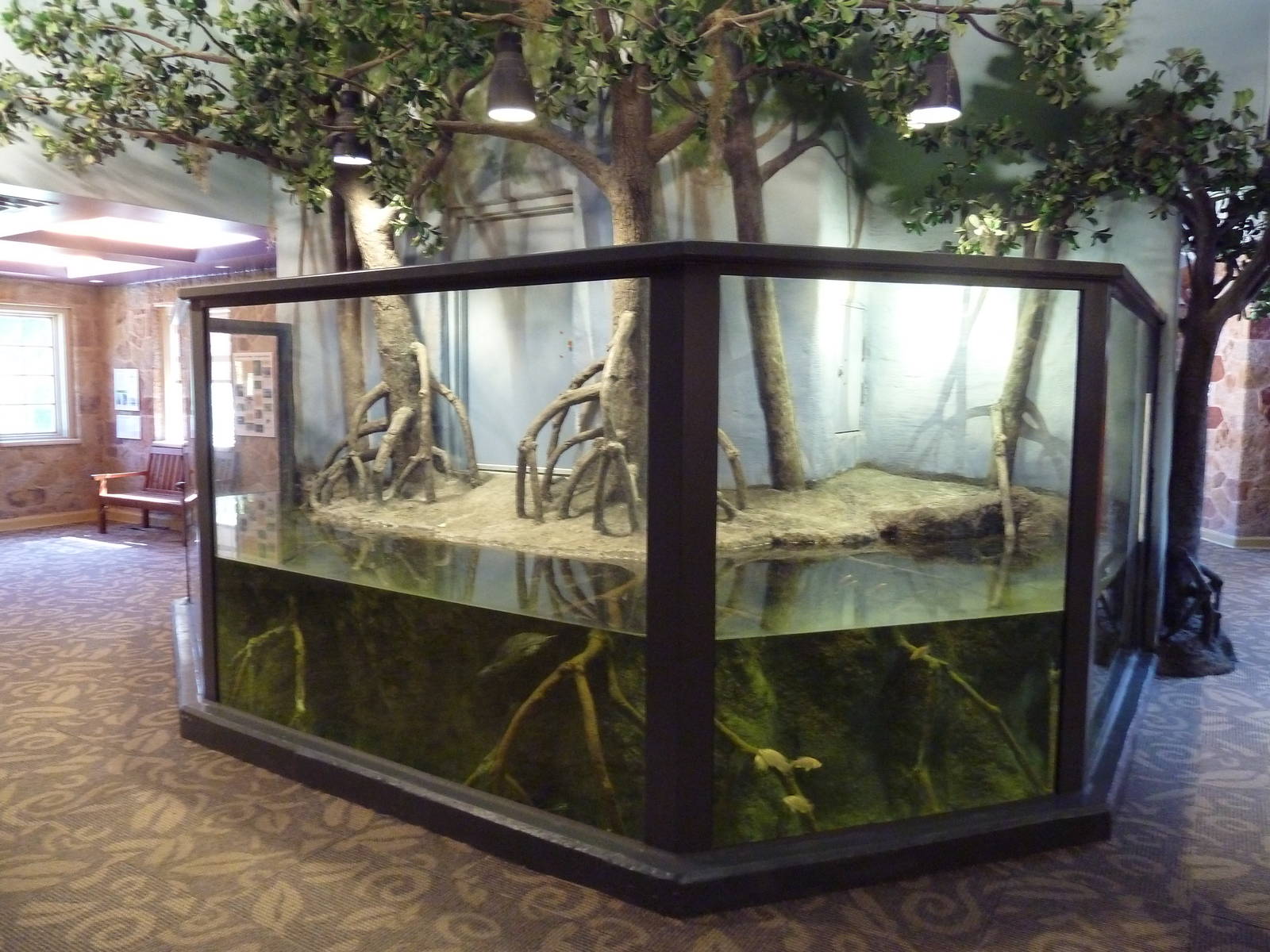1939 Islands of Life Building - Turtle Exhibit