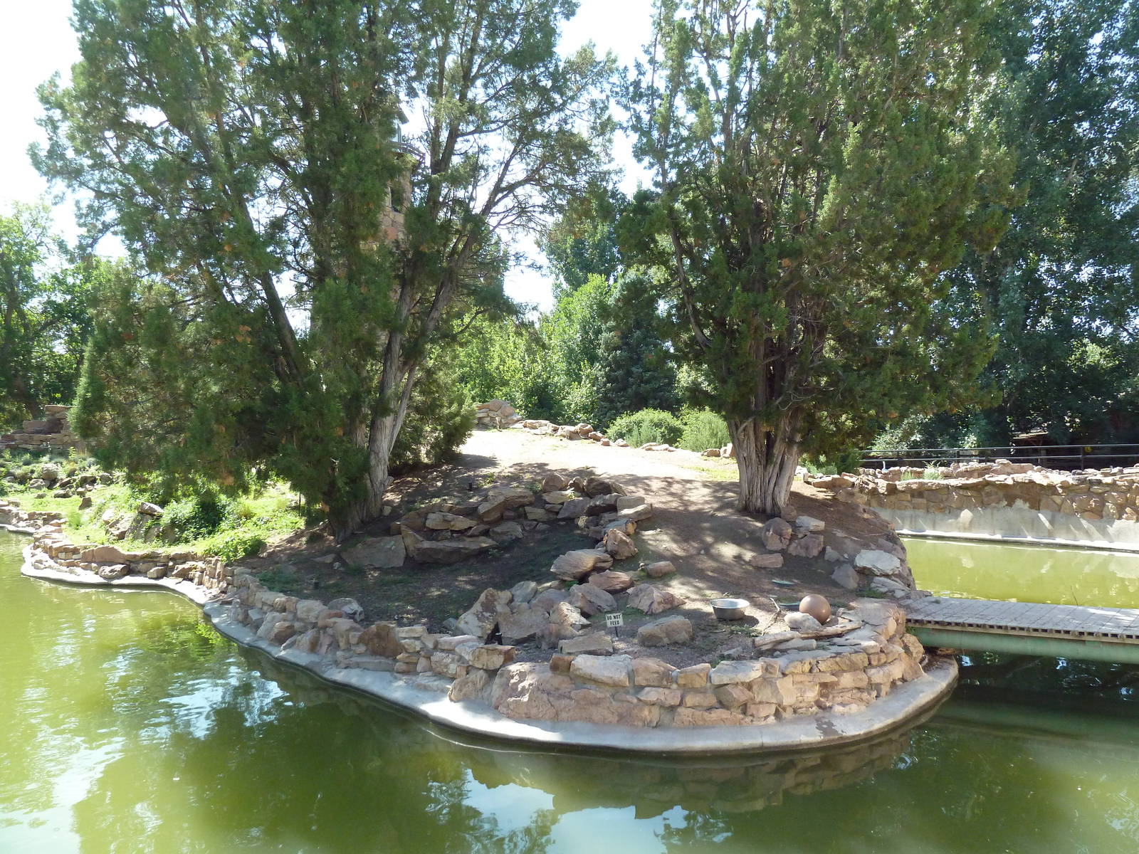 1939 Islands of Life - Ring-Tailed Lemur Exhibit