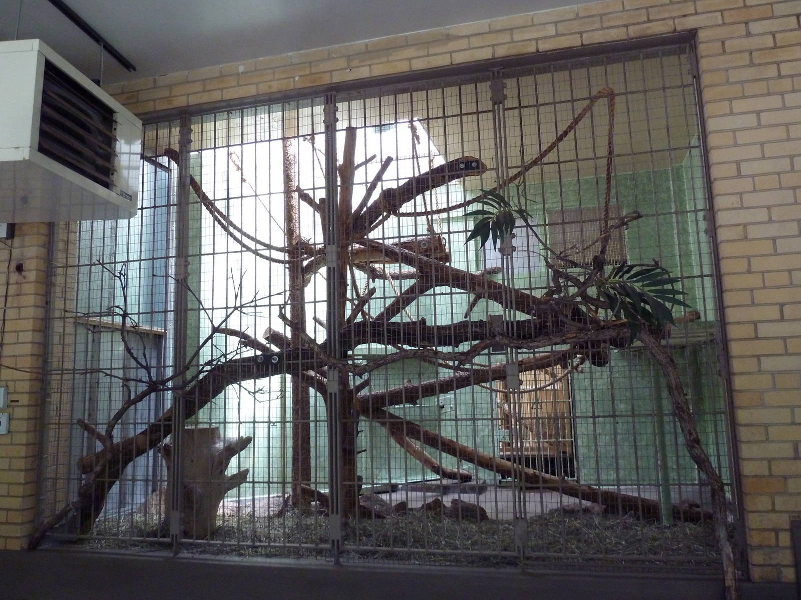 1942 Monkey Pavilion - Ring-Tailed Lemur Exhibit #1