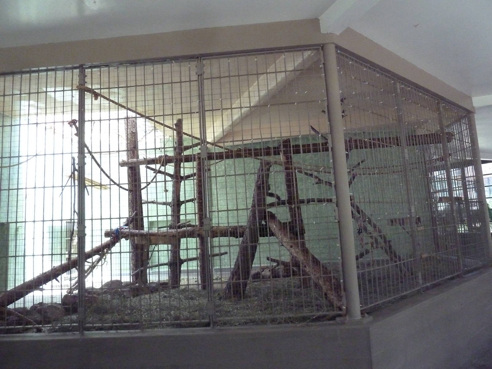 1942 Monkey Pavilion - Ring-Tailed Lemur Exhibit #2