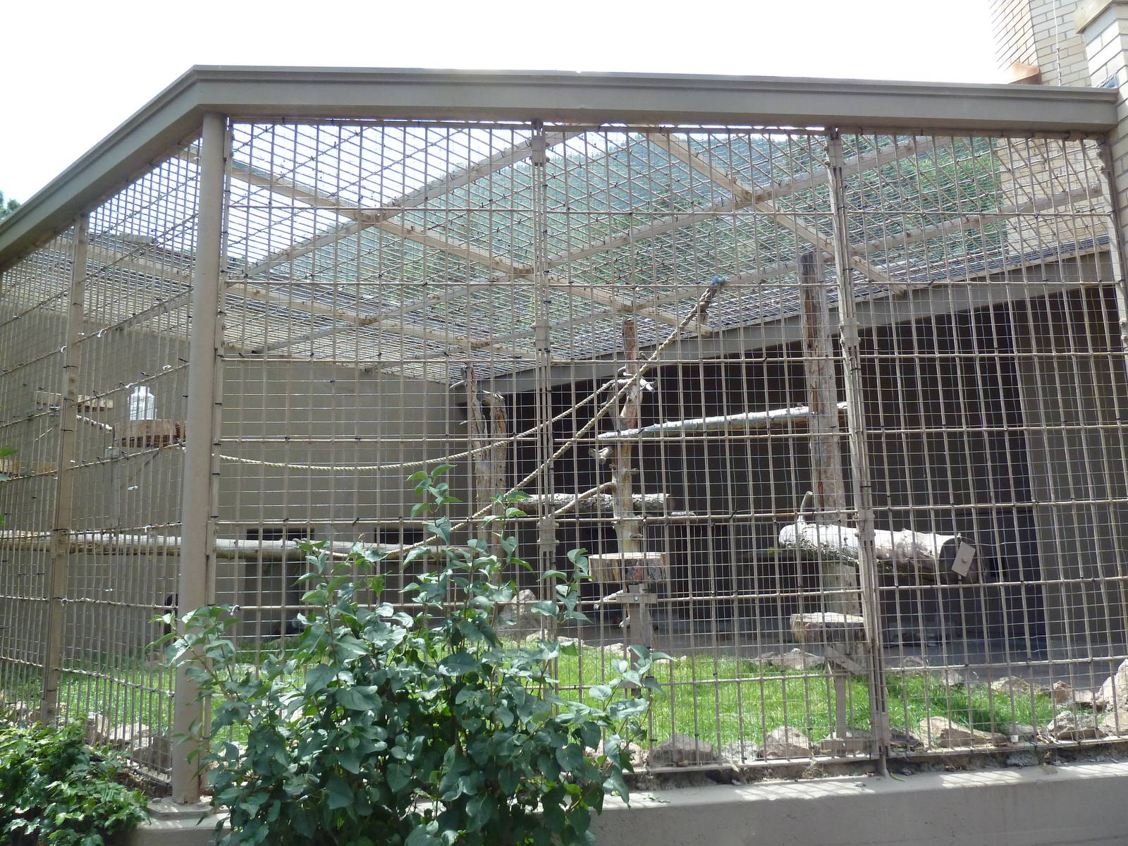 1942 Monkey Pavilion - Rotational Outdoor Cage