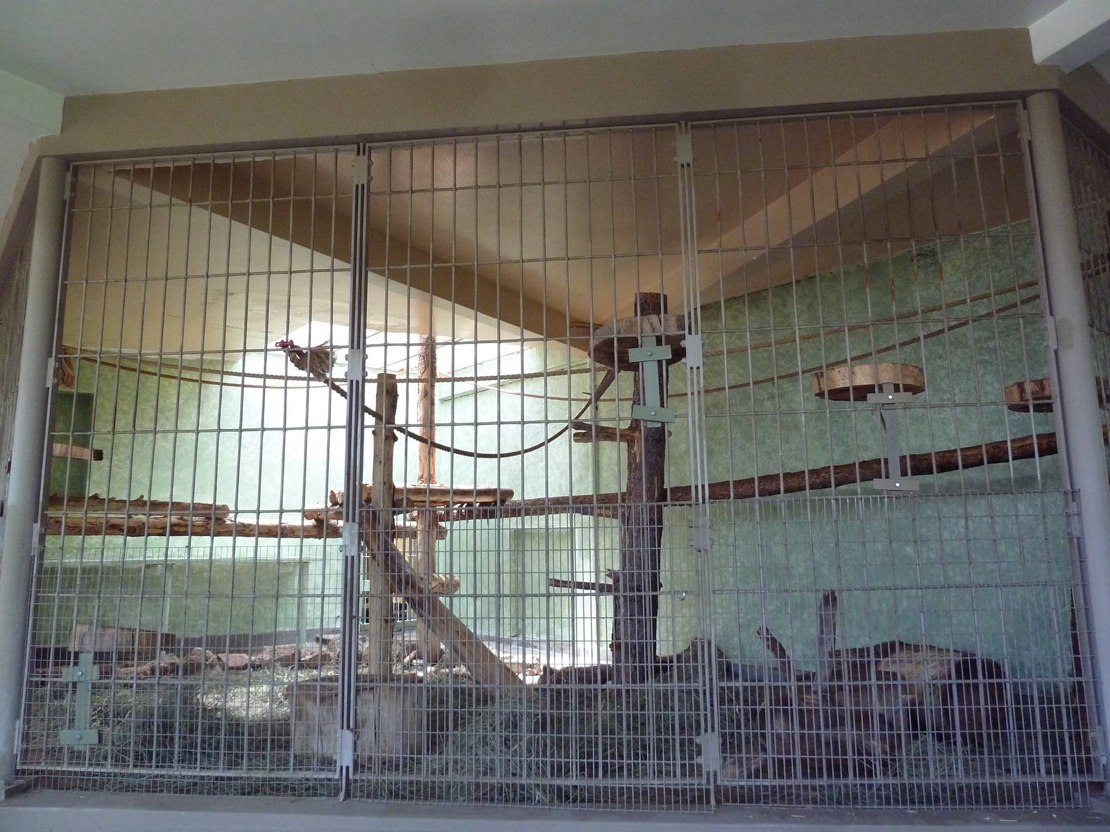 1942 Monkey Pavilion - Syke's Guenon Exhibit