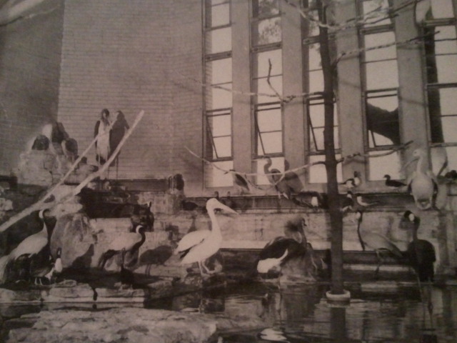 1952-Aquatic Bird House