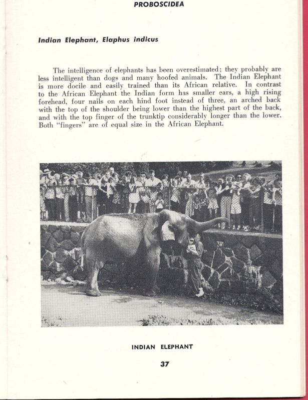 1954 Duluth Zoo Guidebook