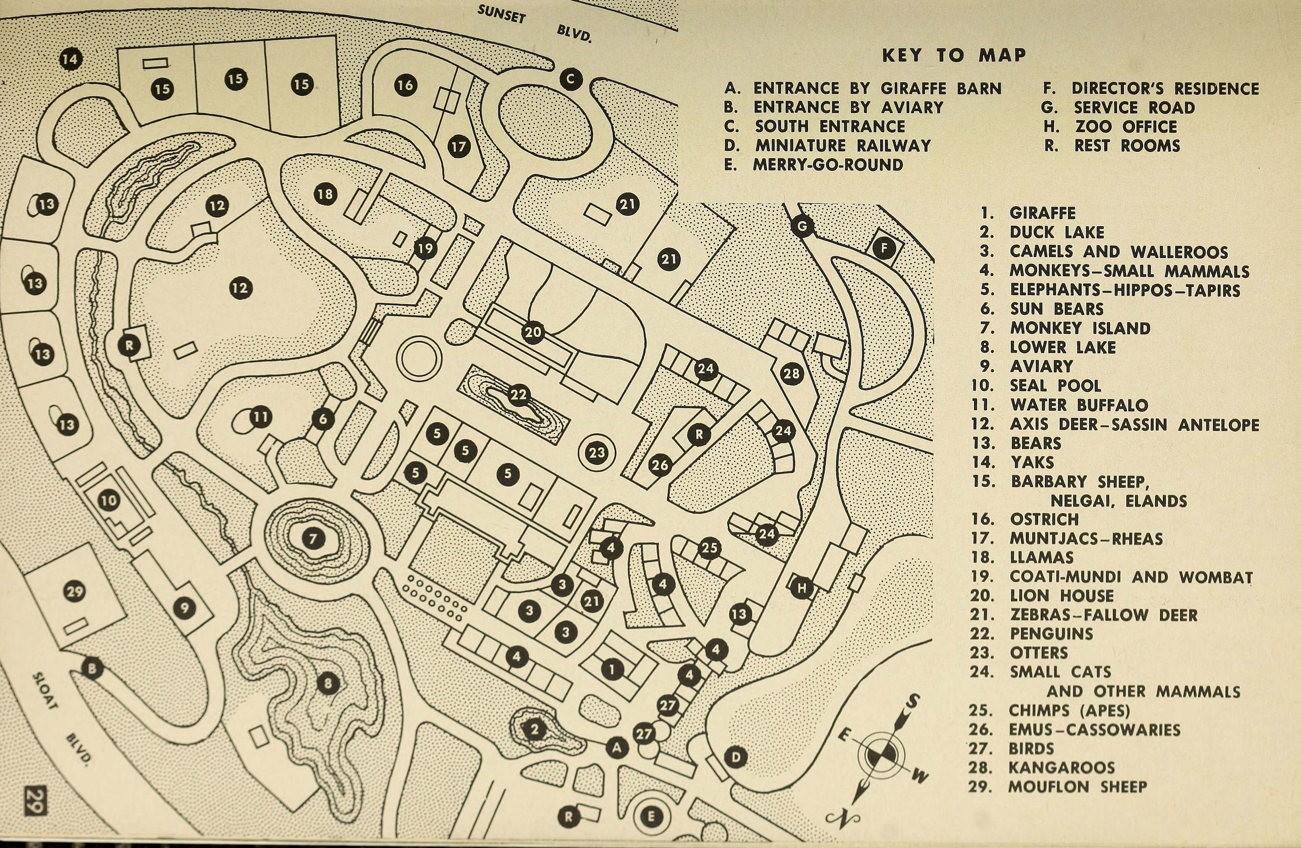 1955 Zoo Map