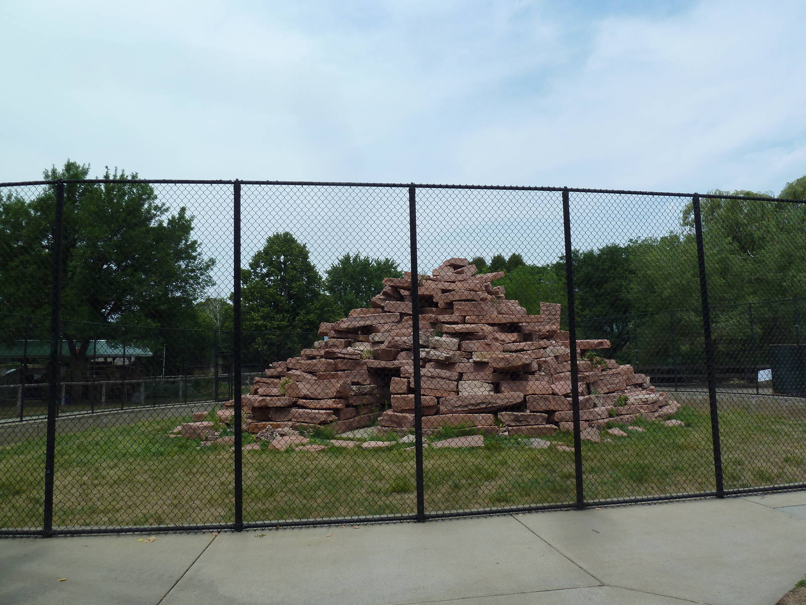 1963 Wallaby Mountain