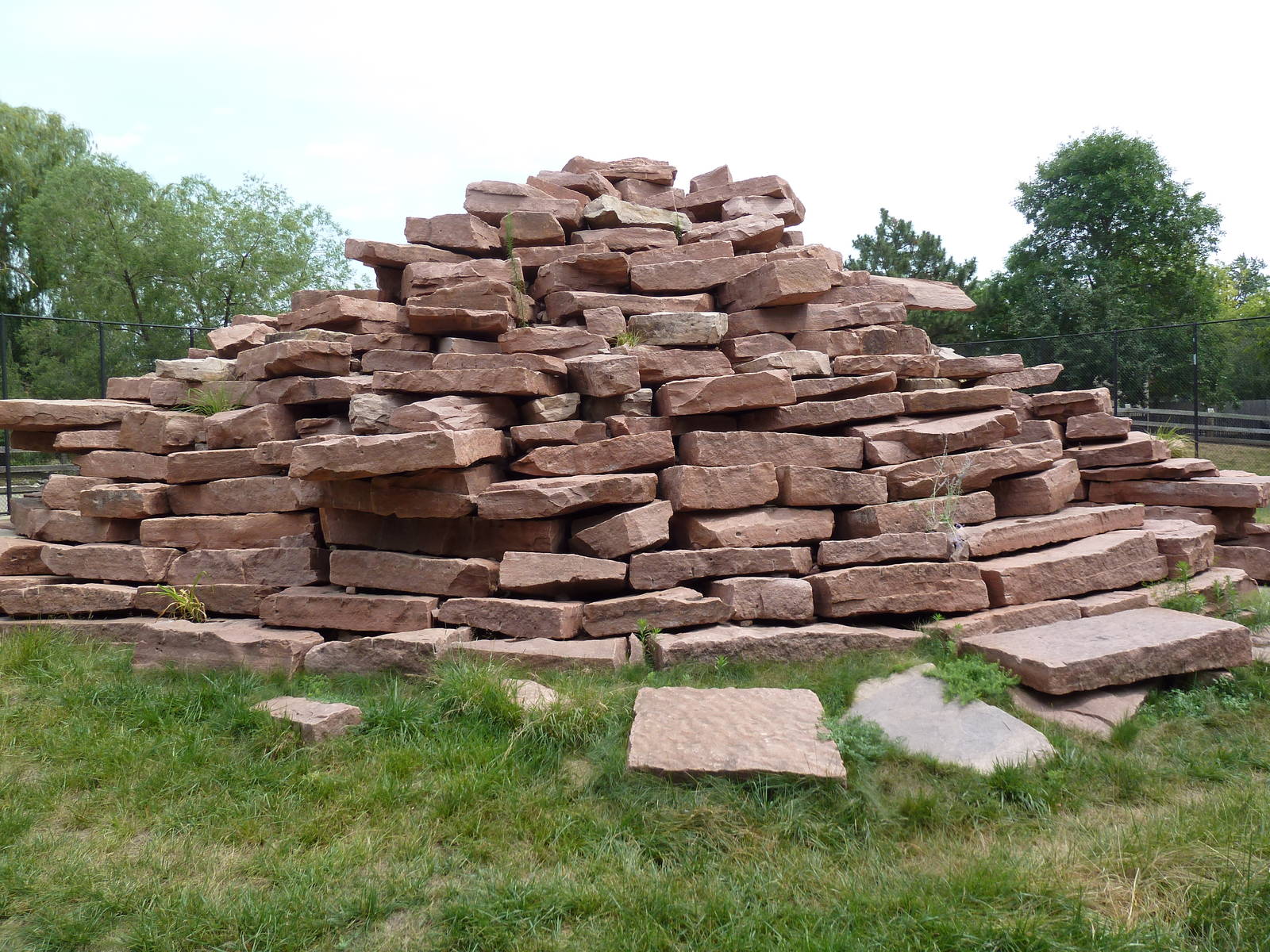 1963 Wallaby Mountain