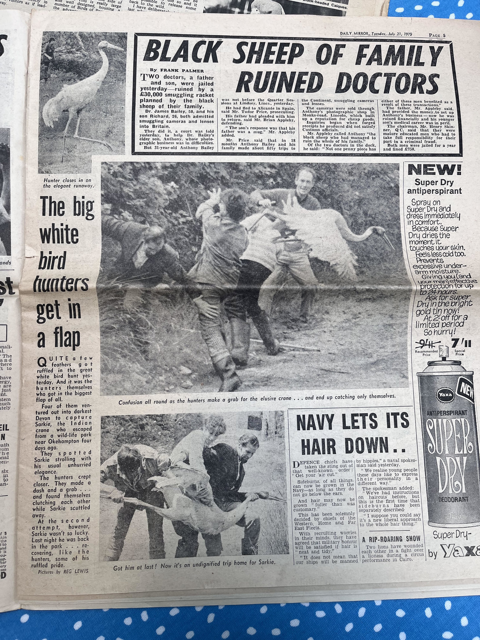 1970 newspaper article regarding Pinevalley Wildlife Park (now-closed UK collection)