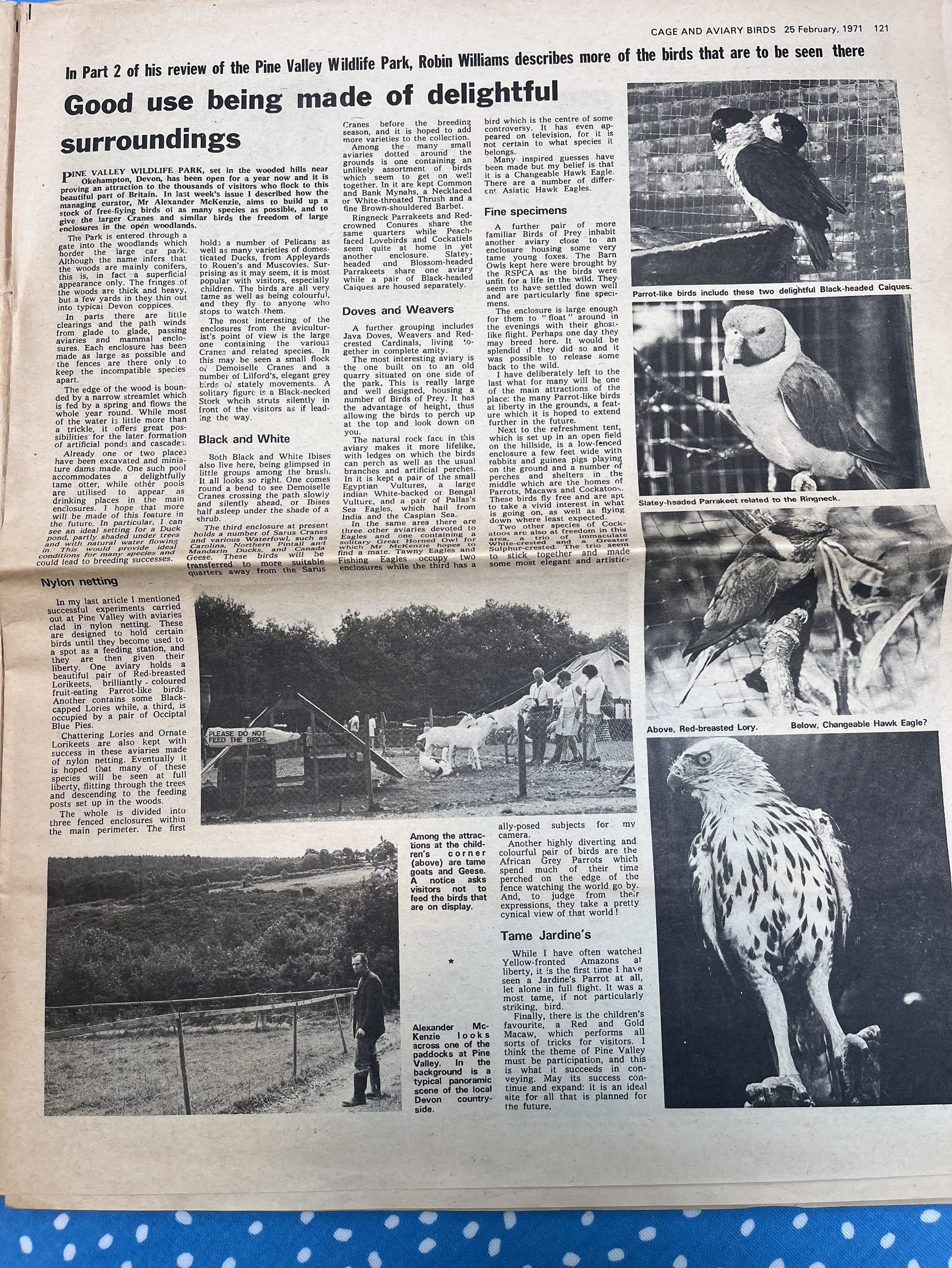 1971 Cage & Aviary Birds article regarding Pinevalley Wildlife Park (now-closed UK collection)