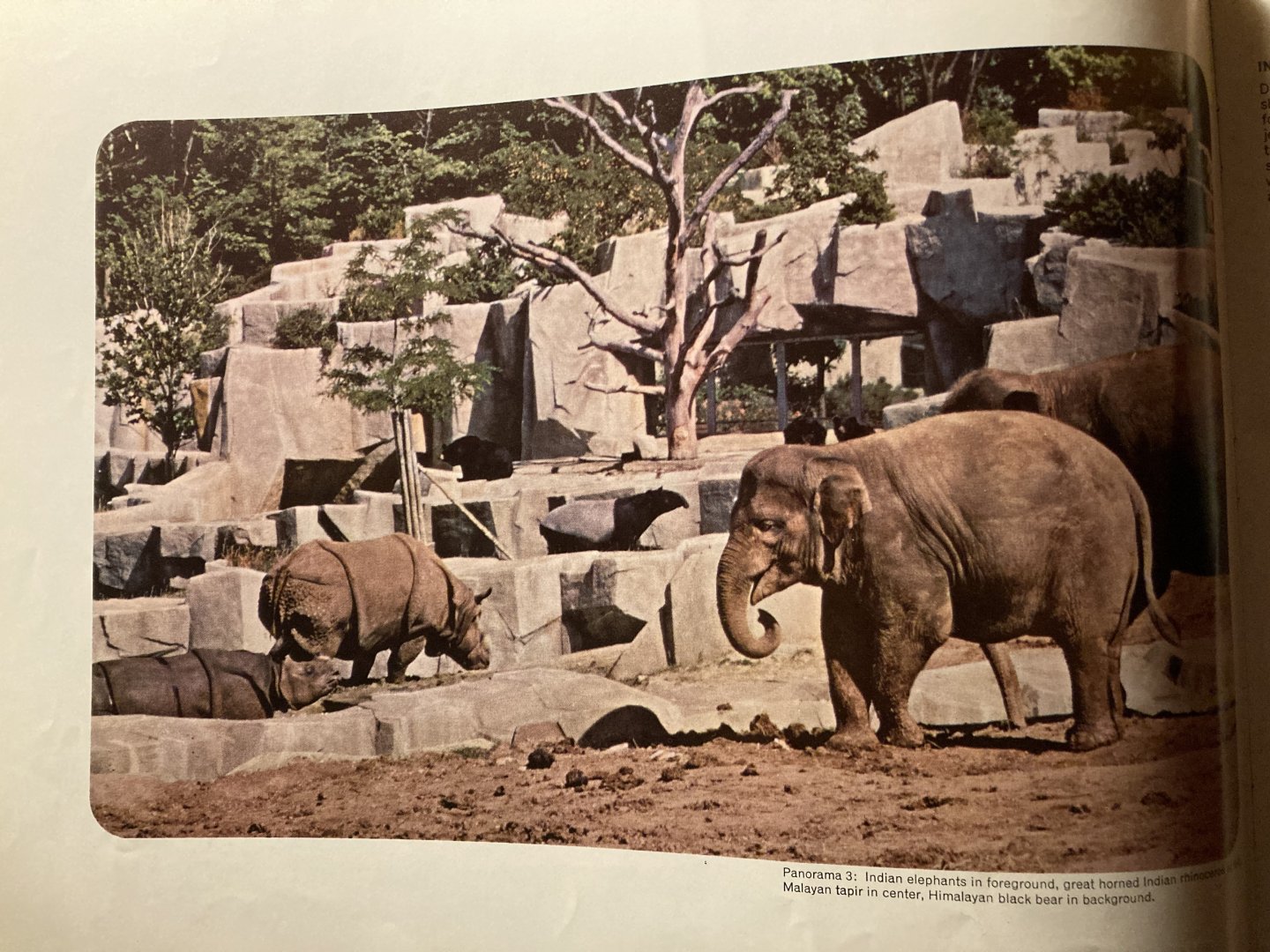 1973 Official Zoo Guidebook - Asia section