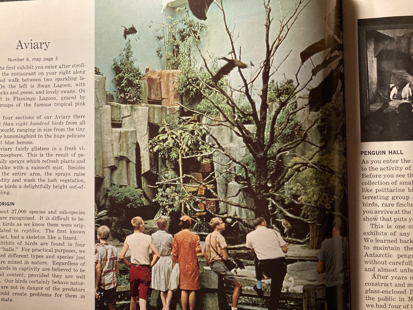 1973 Official Zoo Guidebook - Aviary