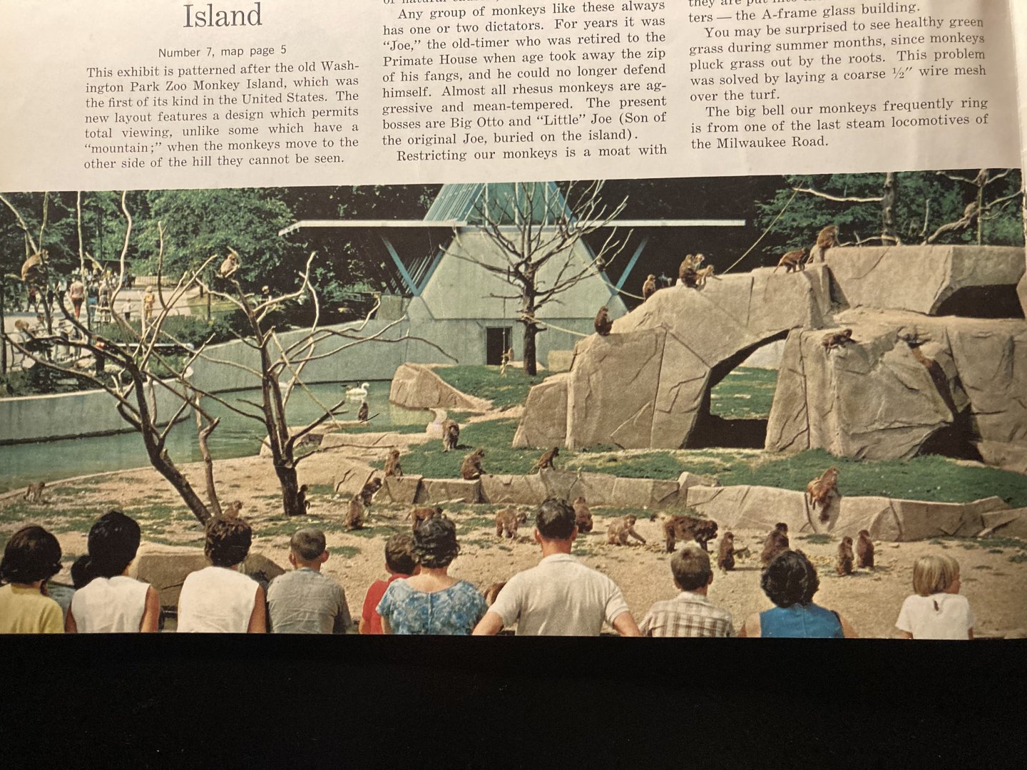 1973 Official Zoo Guidebook - Monkey Island