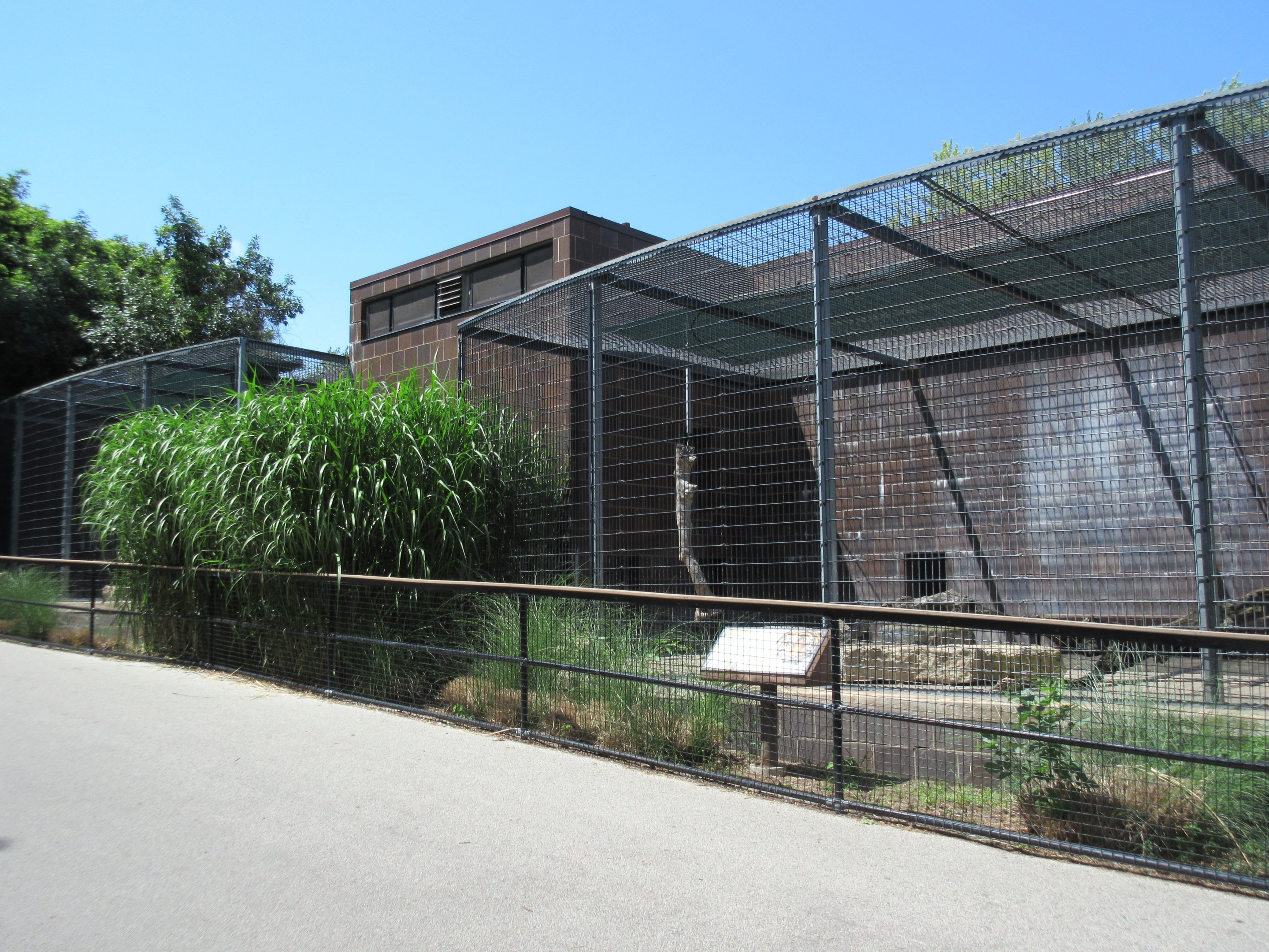 1977 Cat Complex (to be demolished in 2019)