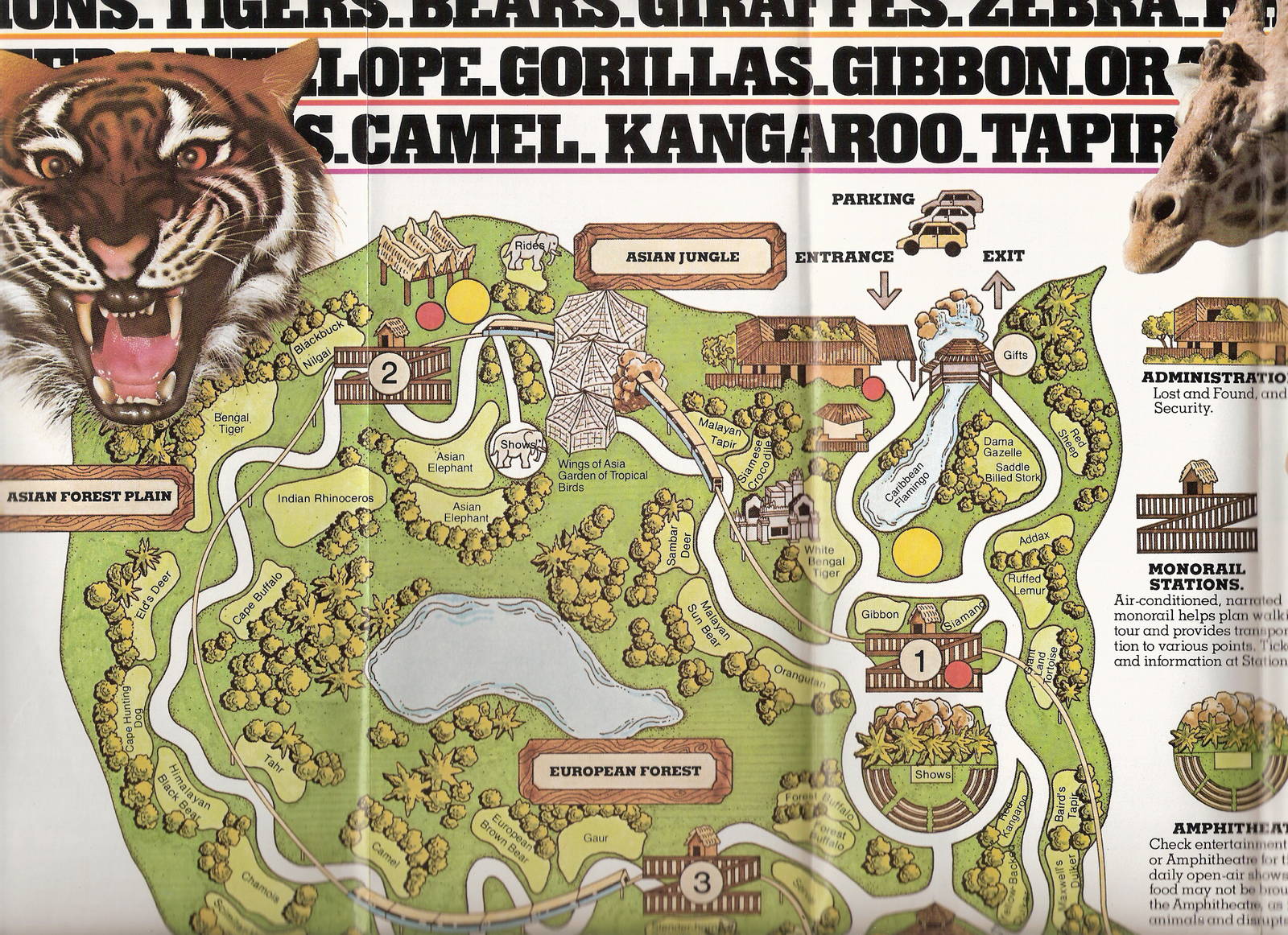 1986 Zoo Map