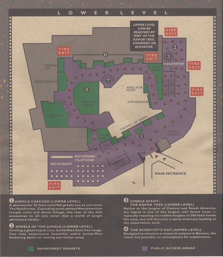 1996 Zoo Guidebook - RainForest Lower Level