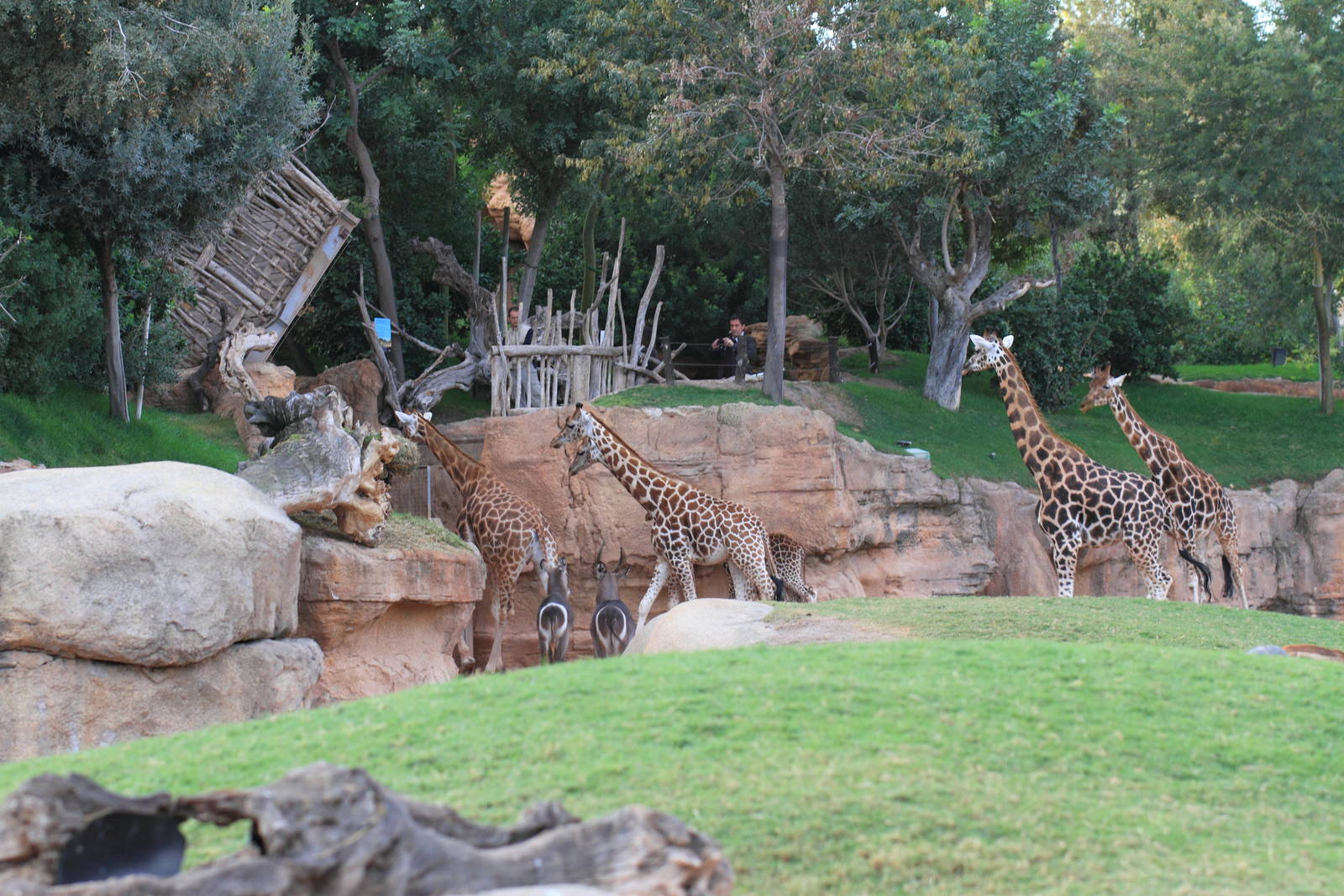 19th November, 5.30pm