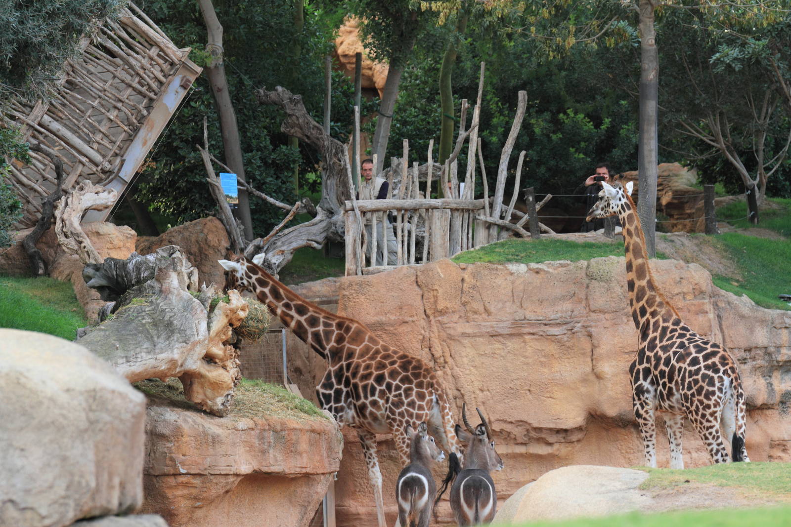 19th November, 5.30pm