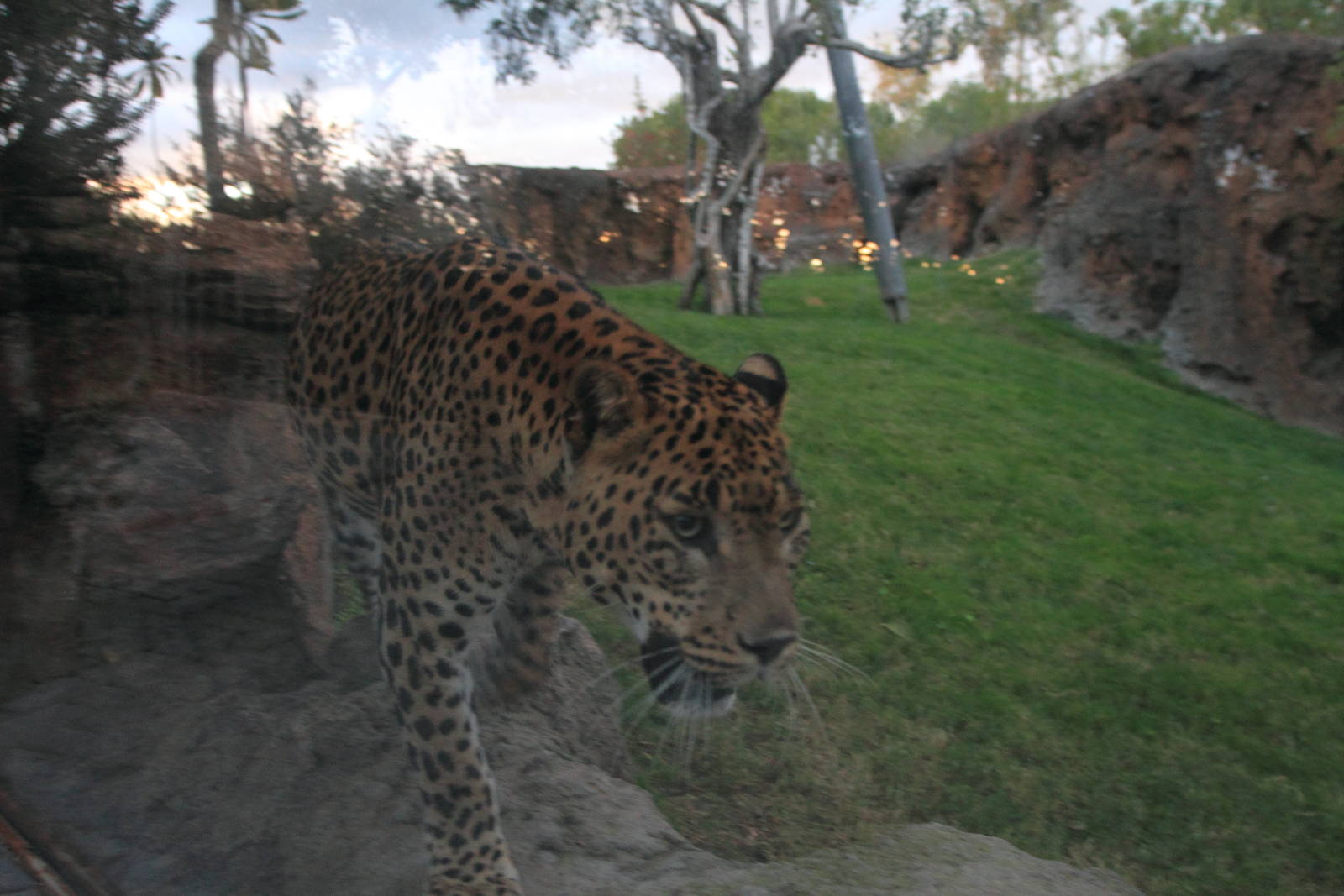 19th November, 5.30pm