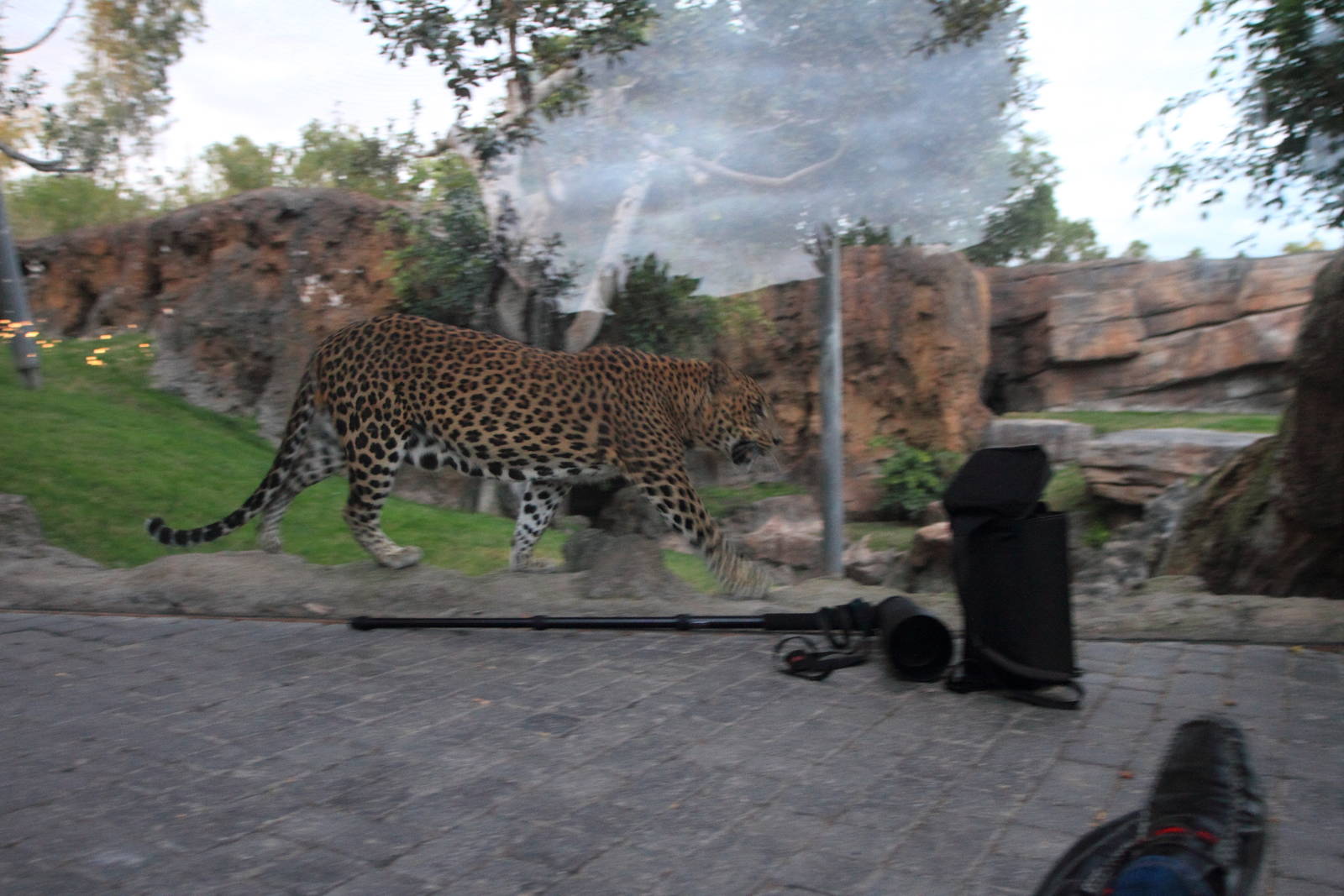 19th November, 5.30pm