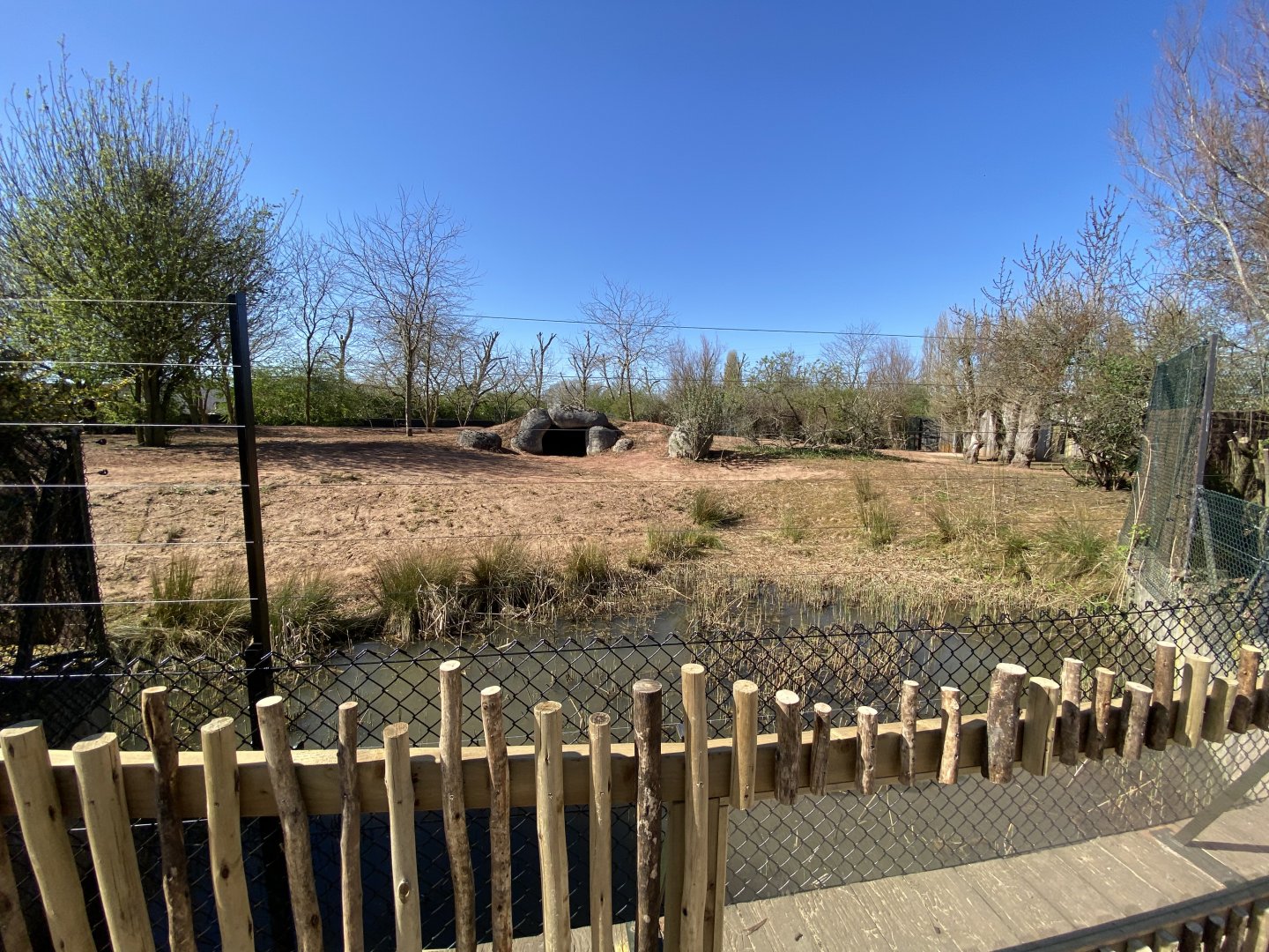 1st African wild dog enclosure