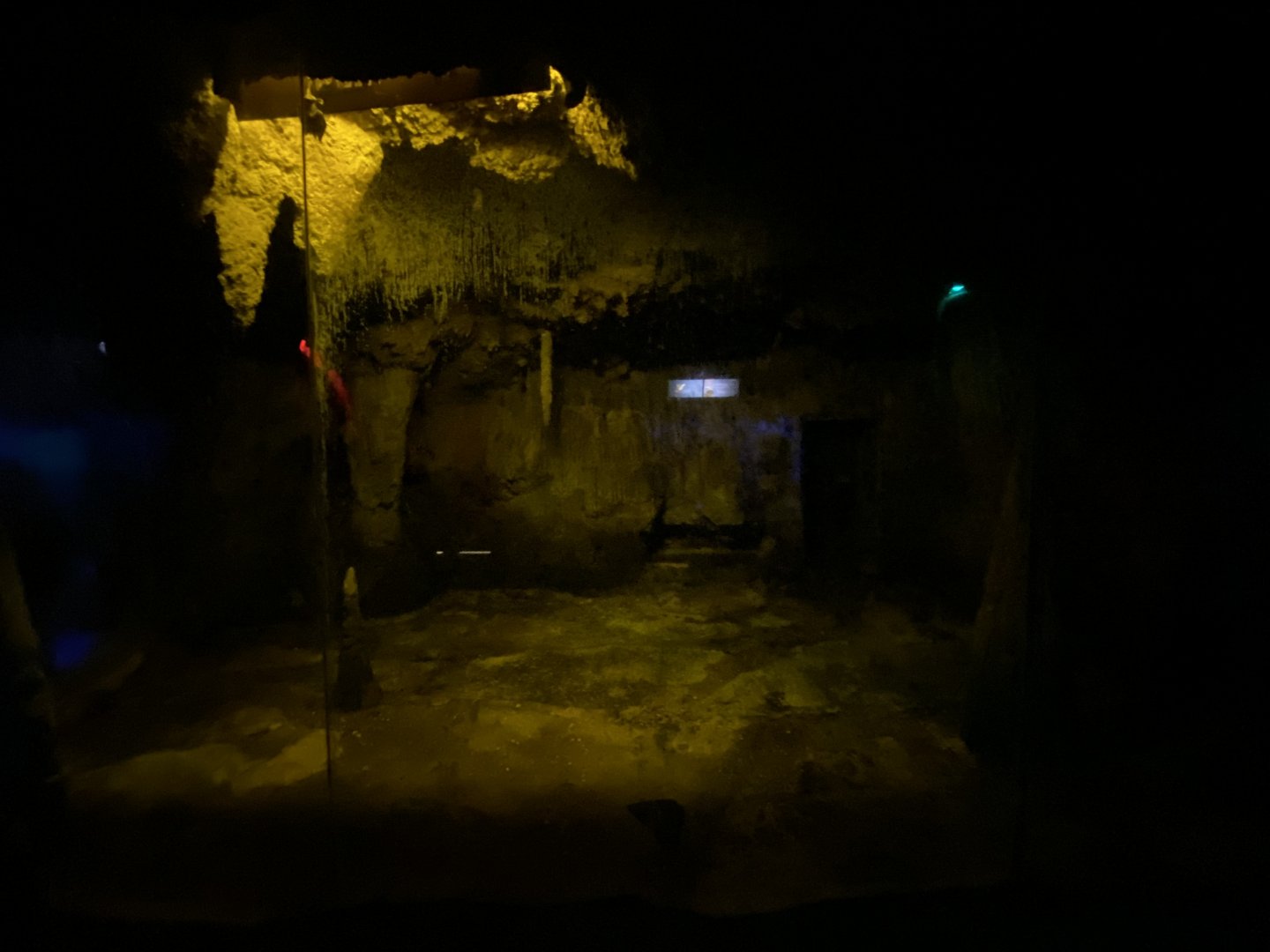 1st Egyptian fruit bat enclosure