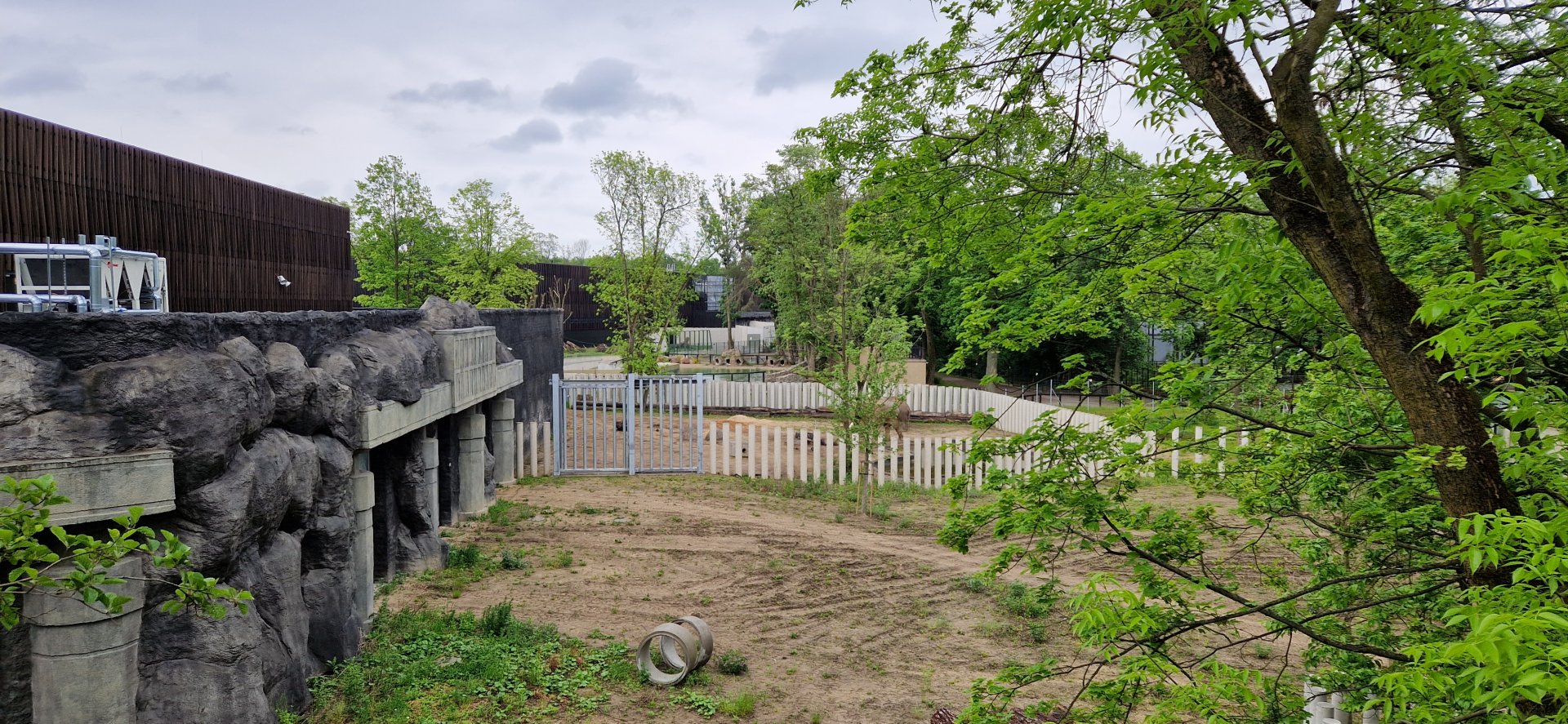 1st Elephant outdoor exhibit