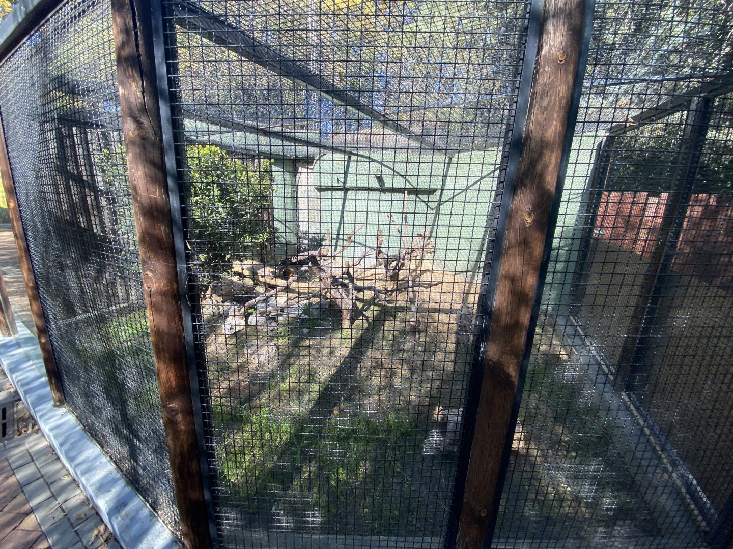 1st European mink enclosure