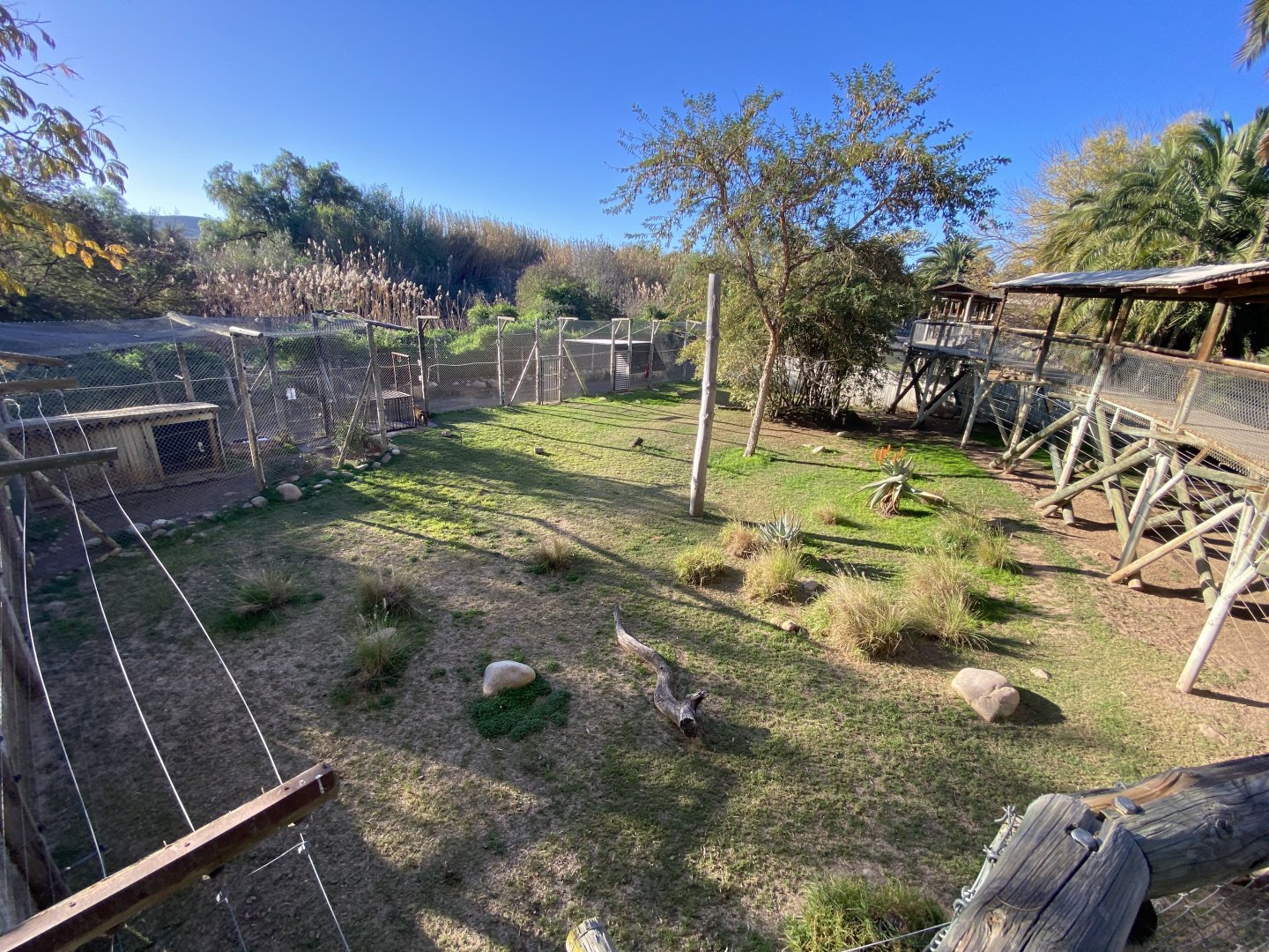 1st half of African leopard enclosure