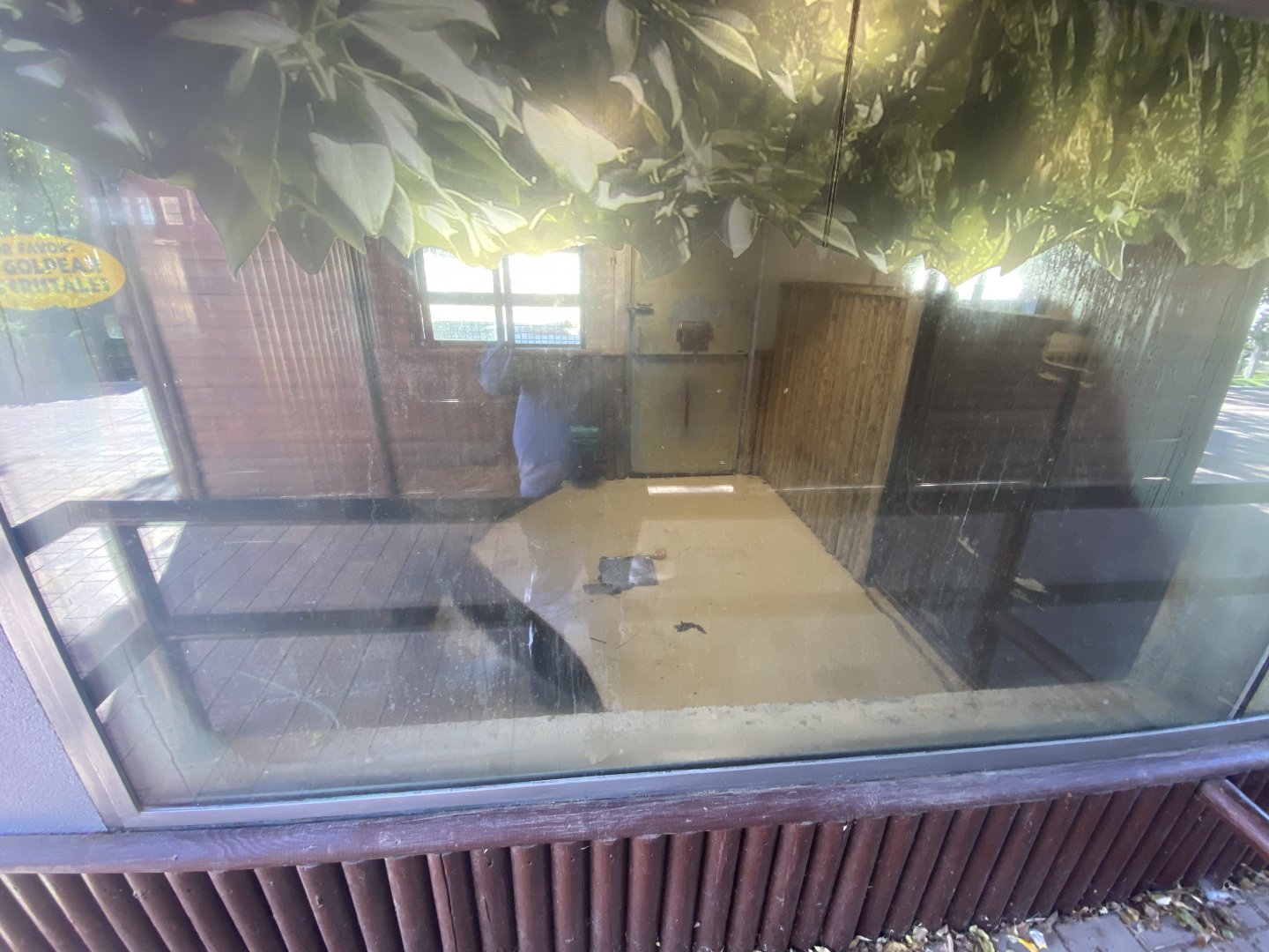 1st half of indoor giant anteater enclosure