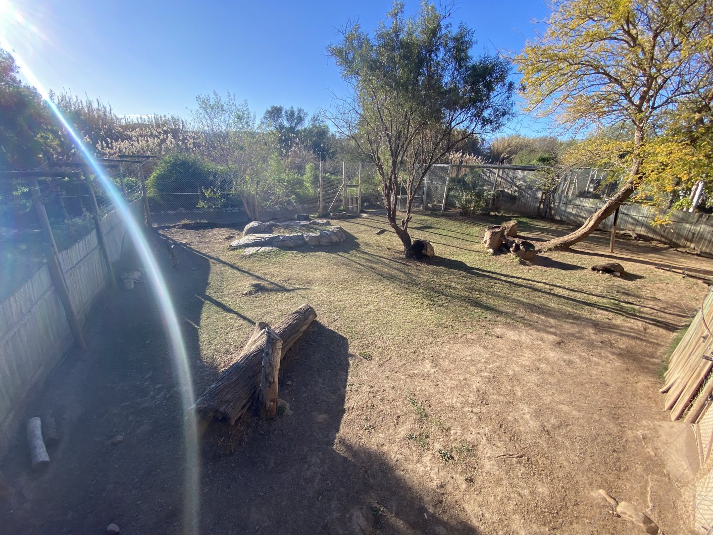 1st half to cheetah enclosure