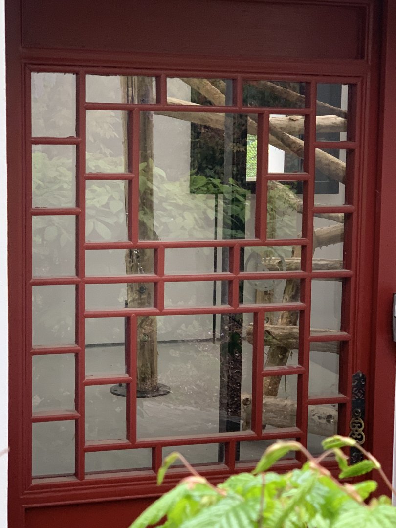 1st Indoor for new monkey species