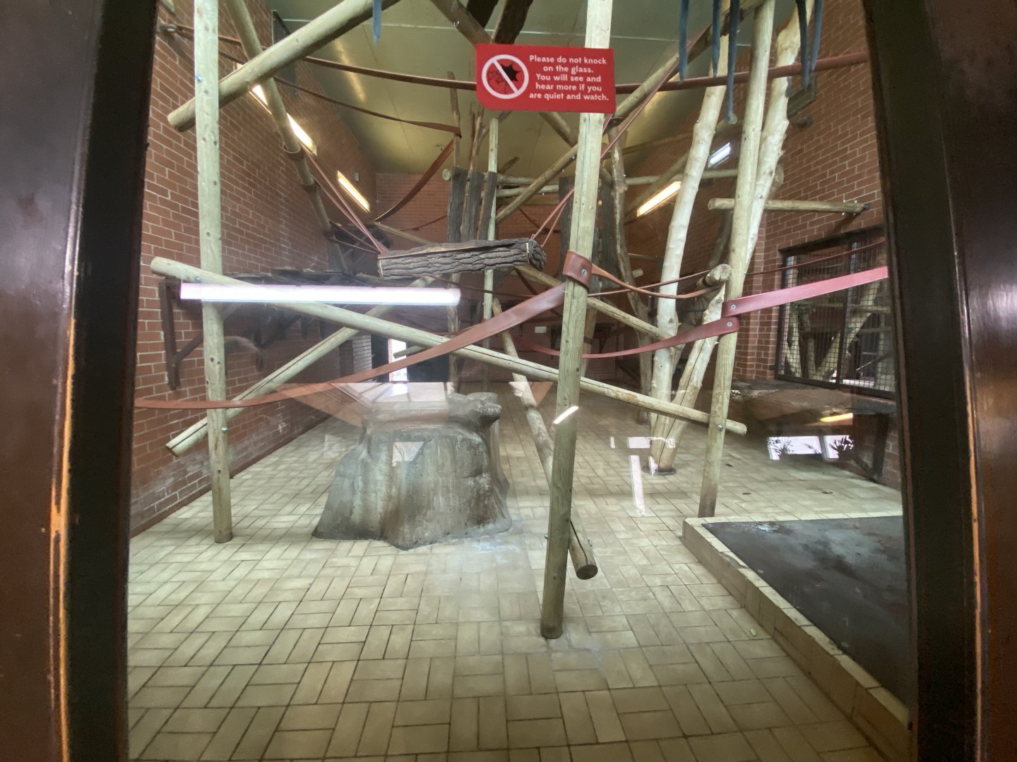 1st indoor Francoi’s langur enclosure