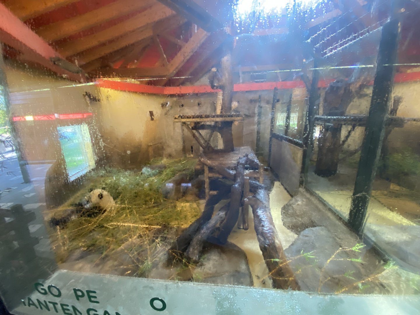 1st indoor giant panda enclosure