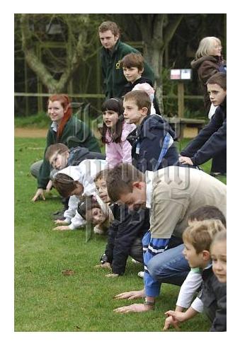 1st January 2008, Leap for The EAZA Year of the Frog!