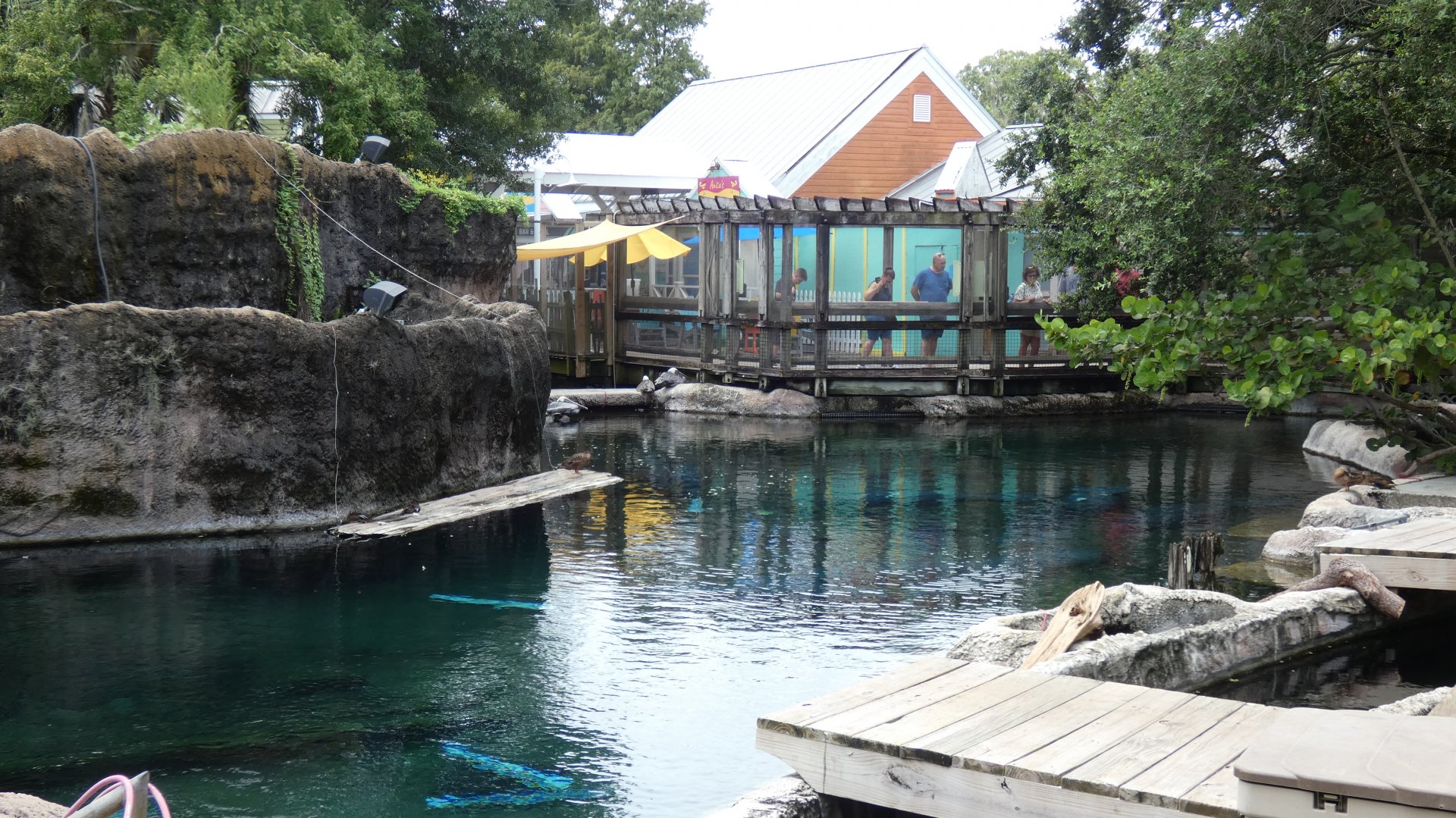 1st Manatee Exhibit (Upper View), Florida - Aug. 2021