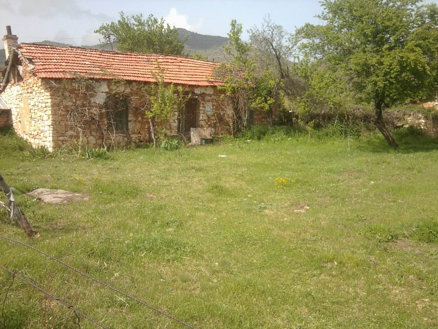 1st May, 950 m above sea level