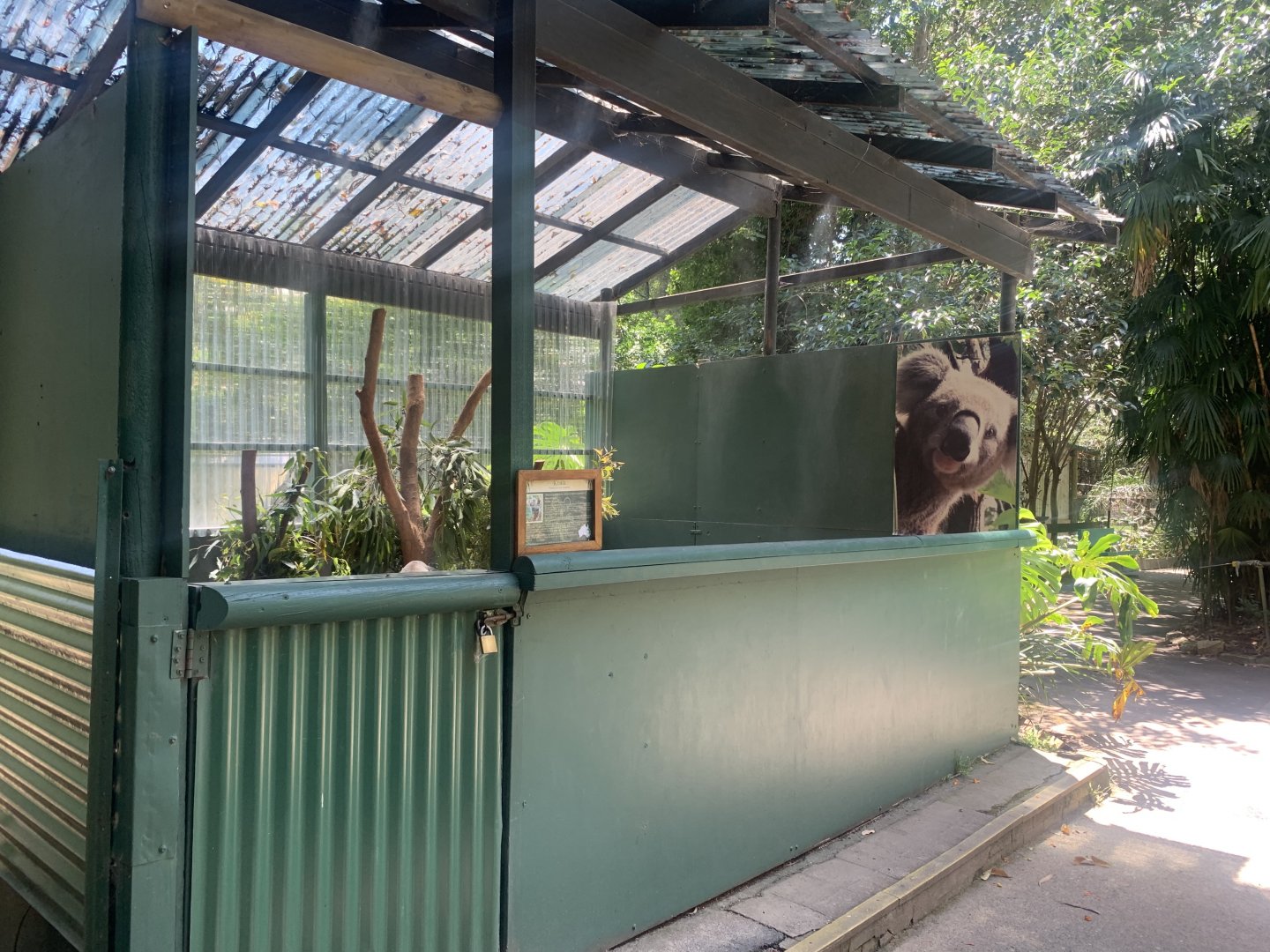 1st of 4 Koala exhibits at the park
