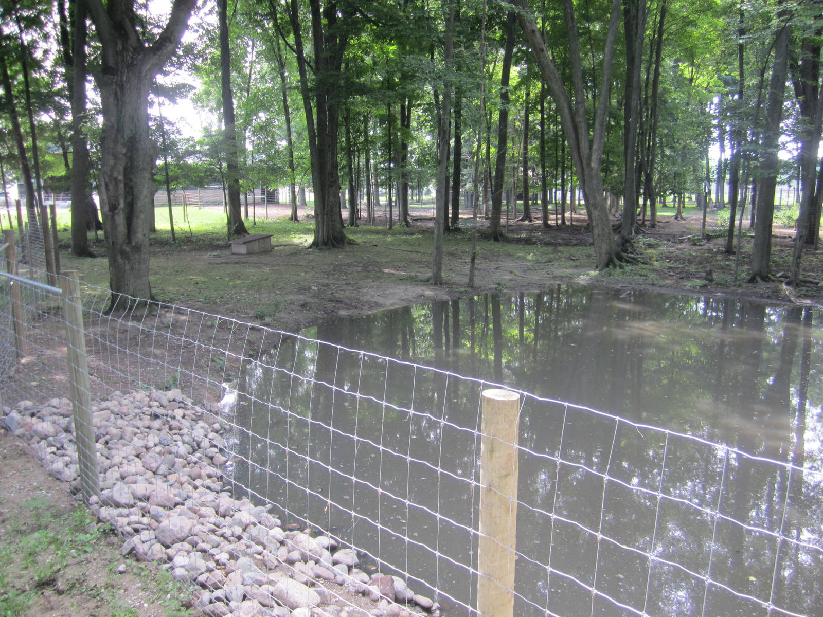 1st Part of Capybara Exhibit