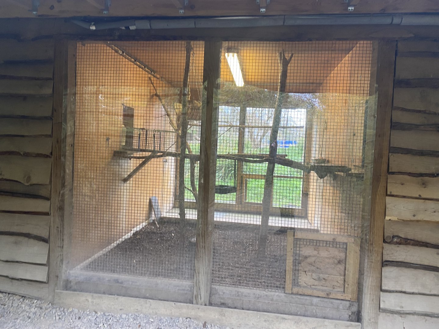 1st part of indoor ring-tailed lemur enclosure