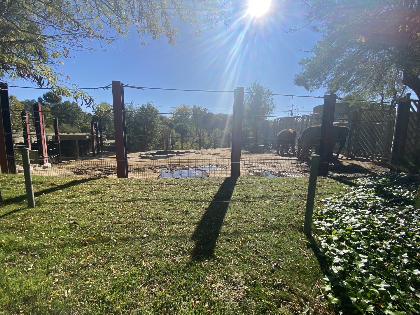 1st part of Sumatran elephant enclosure